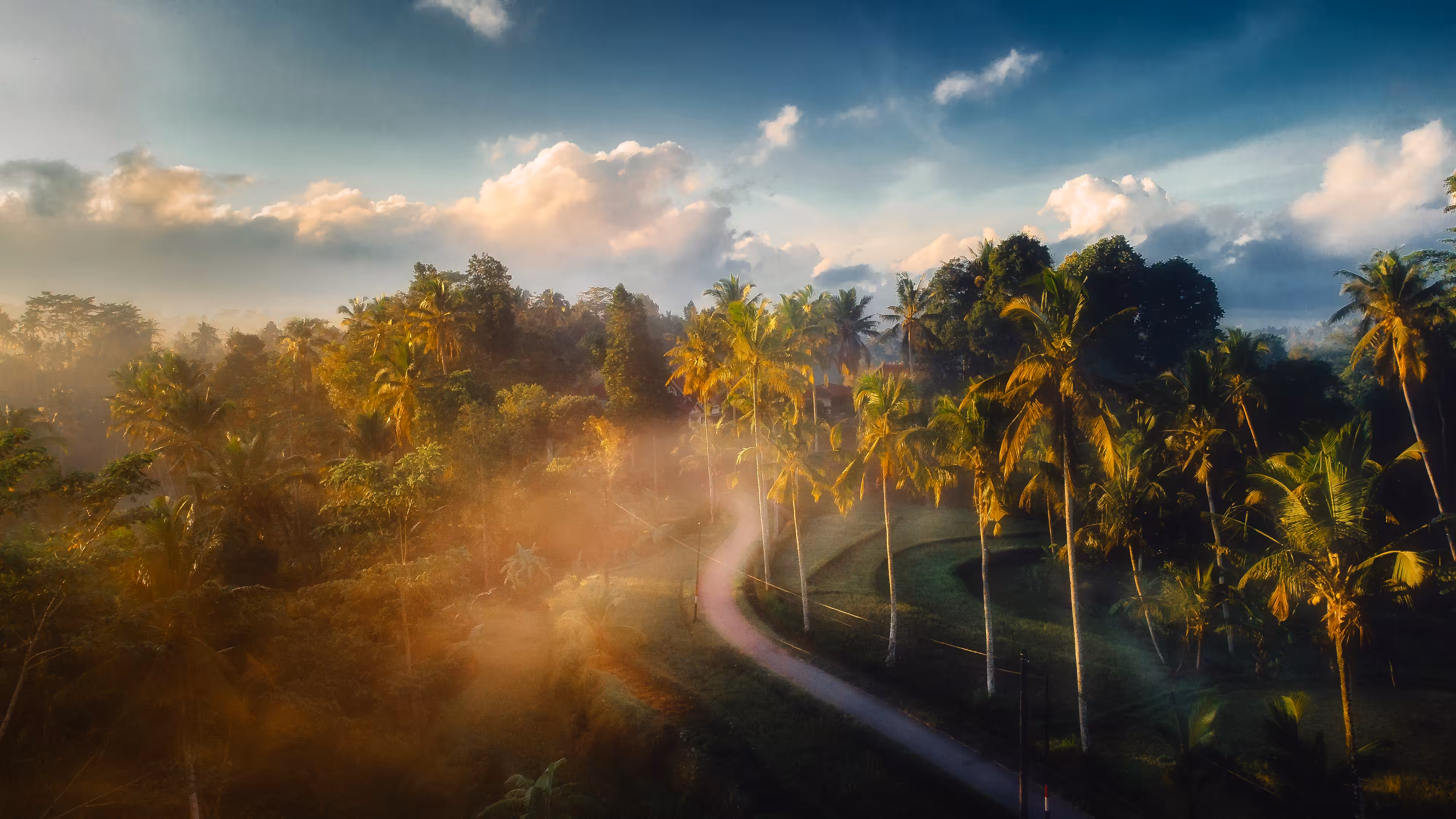 The Path