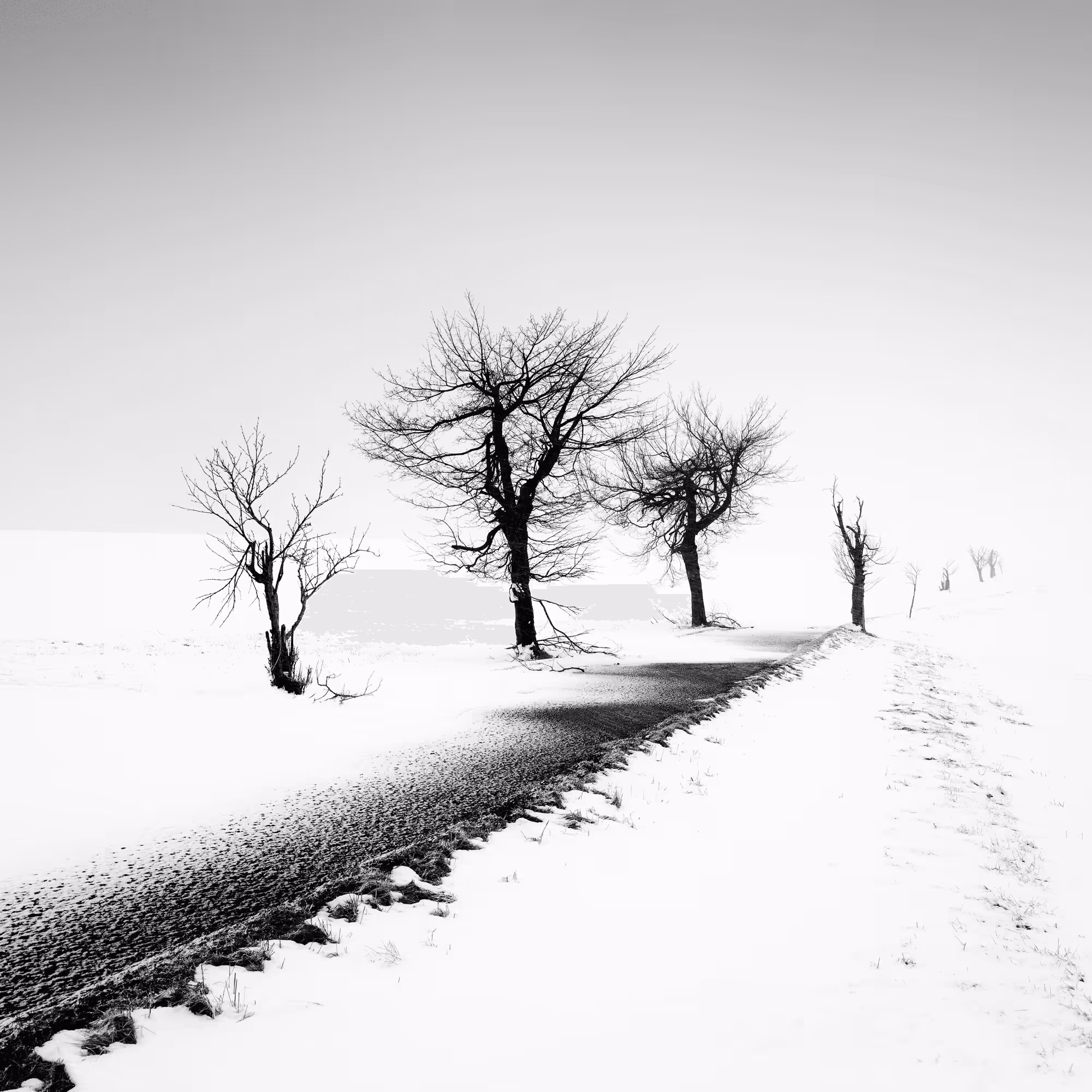 Sound of Silence #1