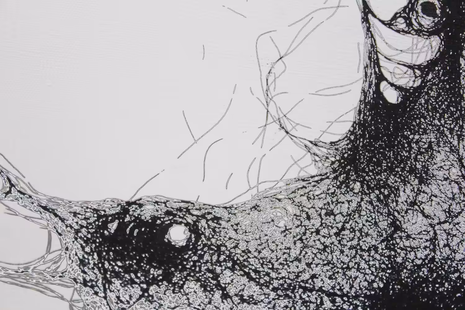 FRACTUS-23.4