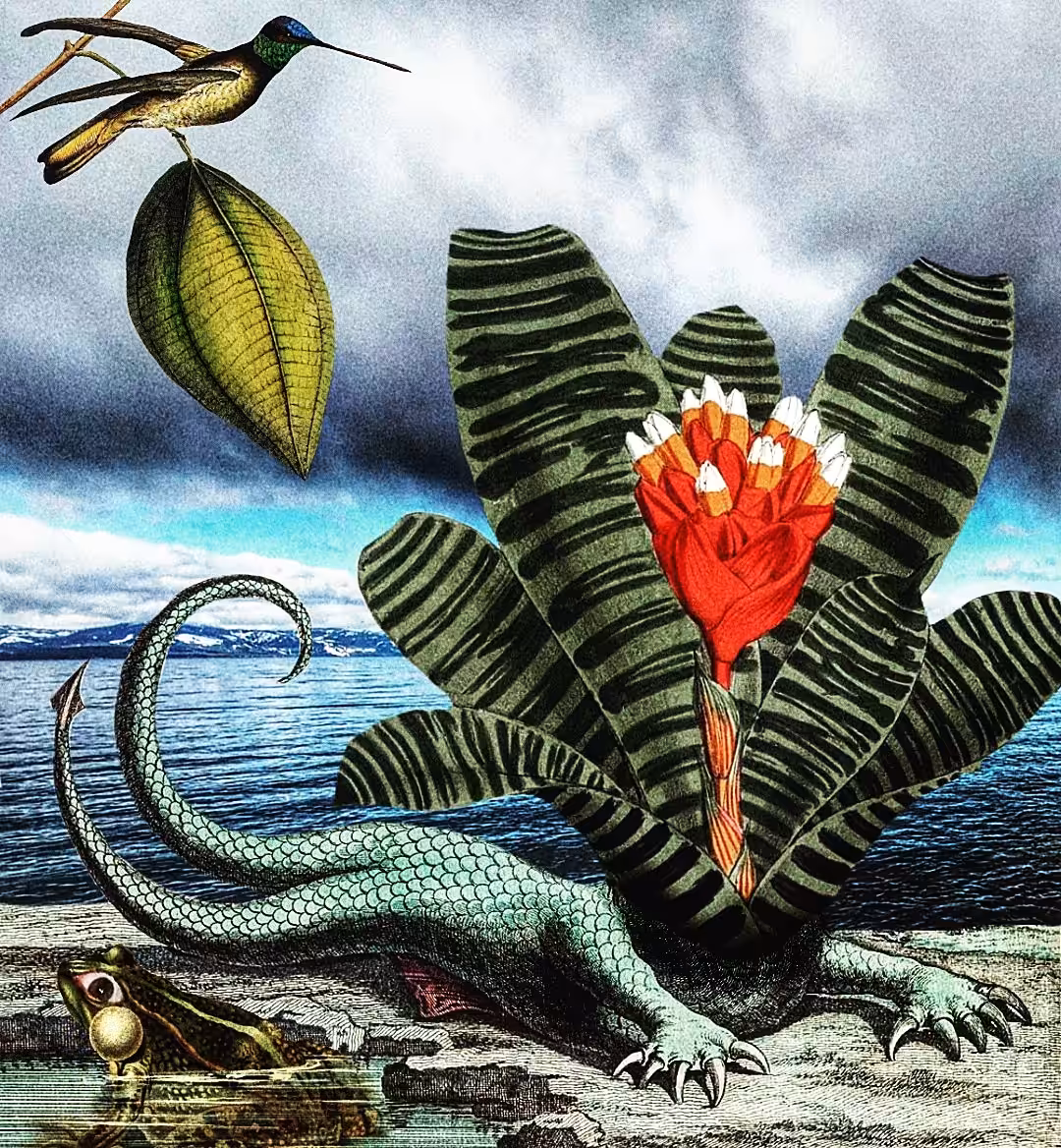 Plant Creature Base