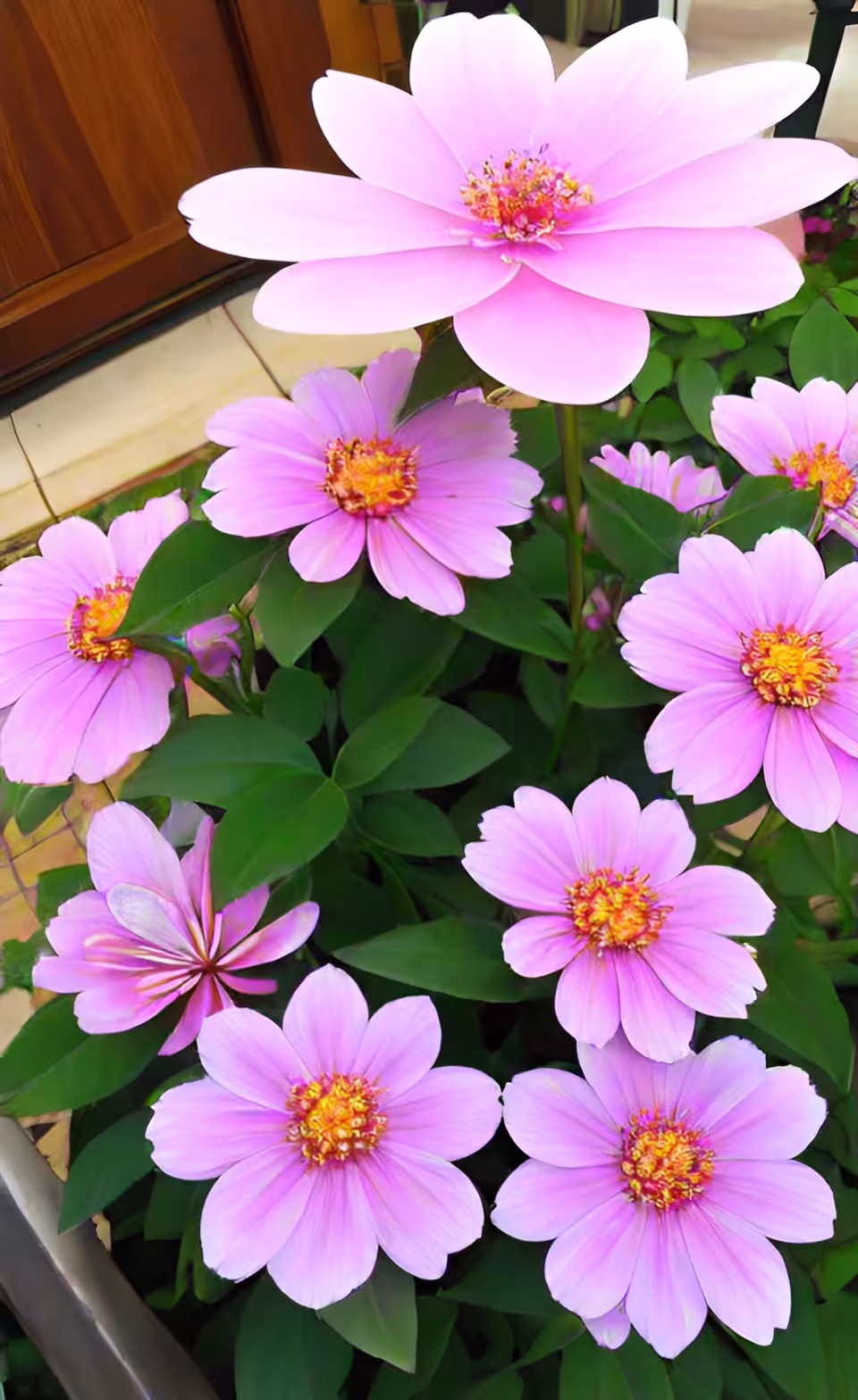 FLOWERS -AI #10