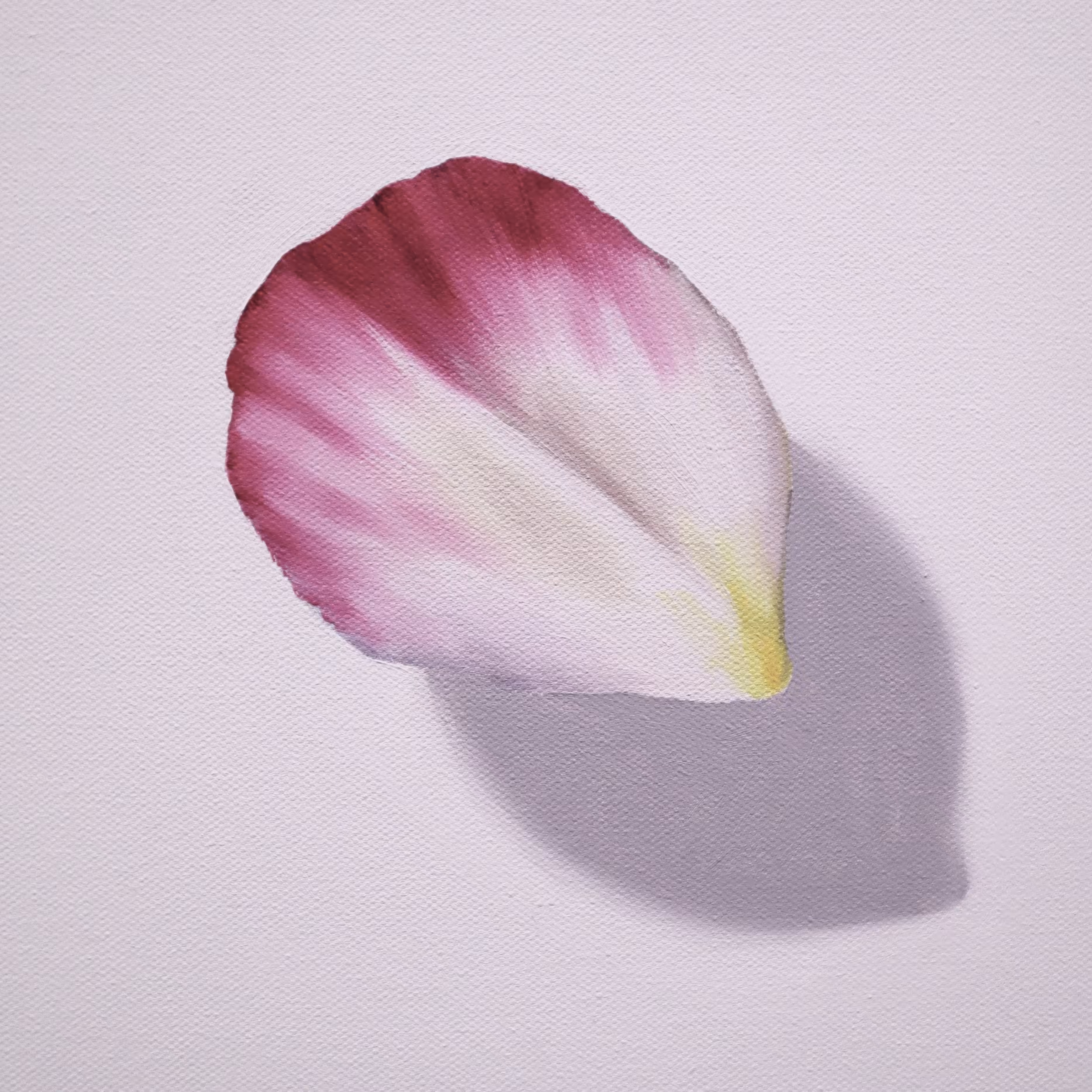 Fragile VIII_I