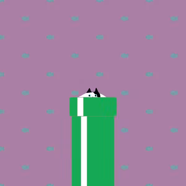 Raise the cat #13