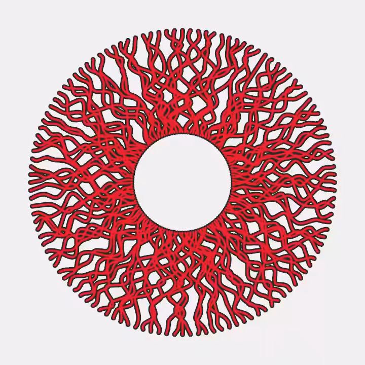 DoodleDeProgramming_20230619