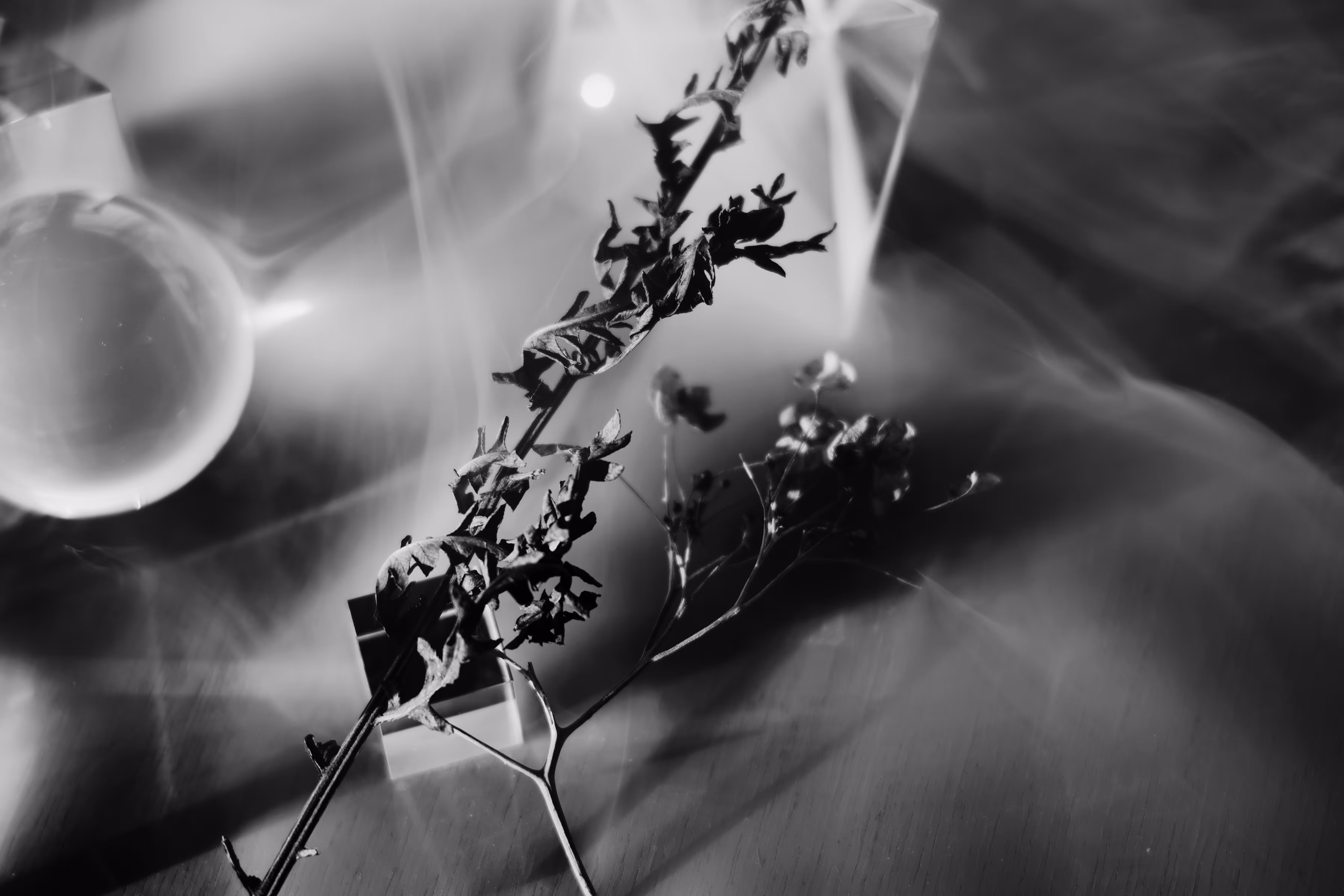 _depth of our dismay