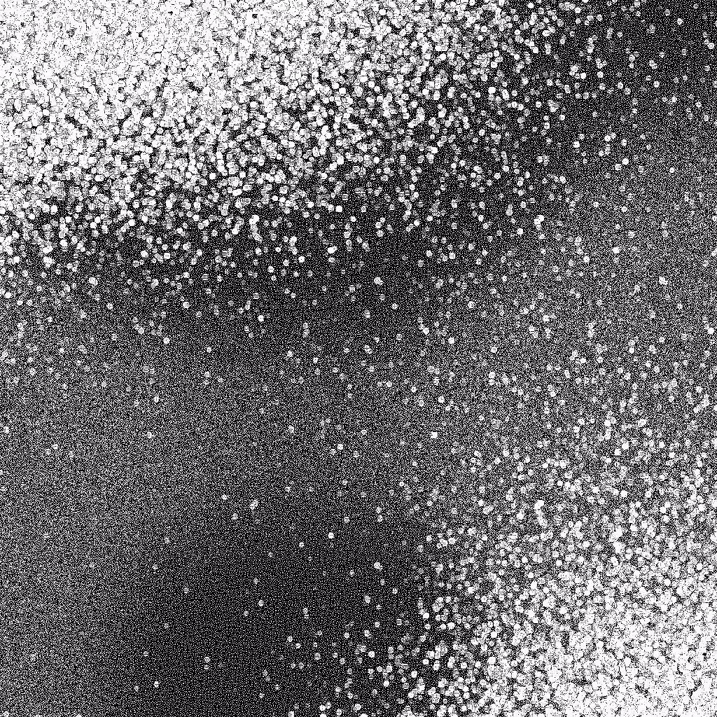 Noise #38 