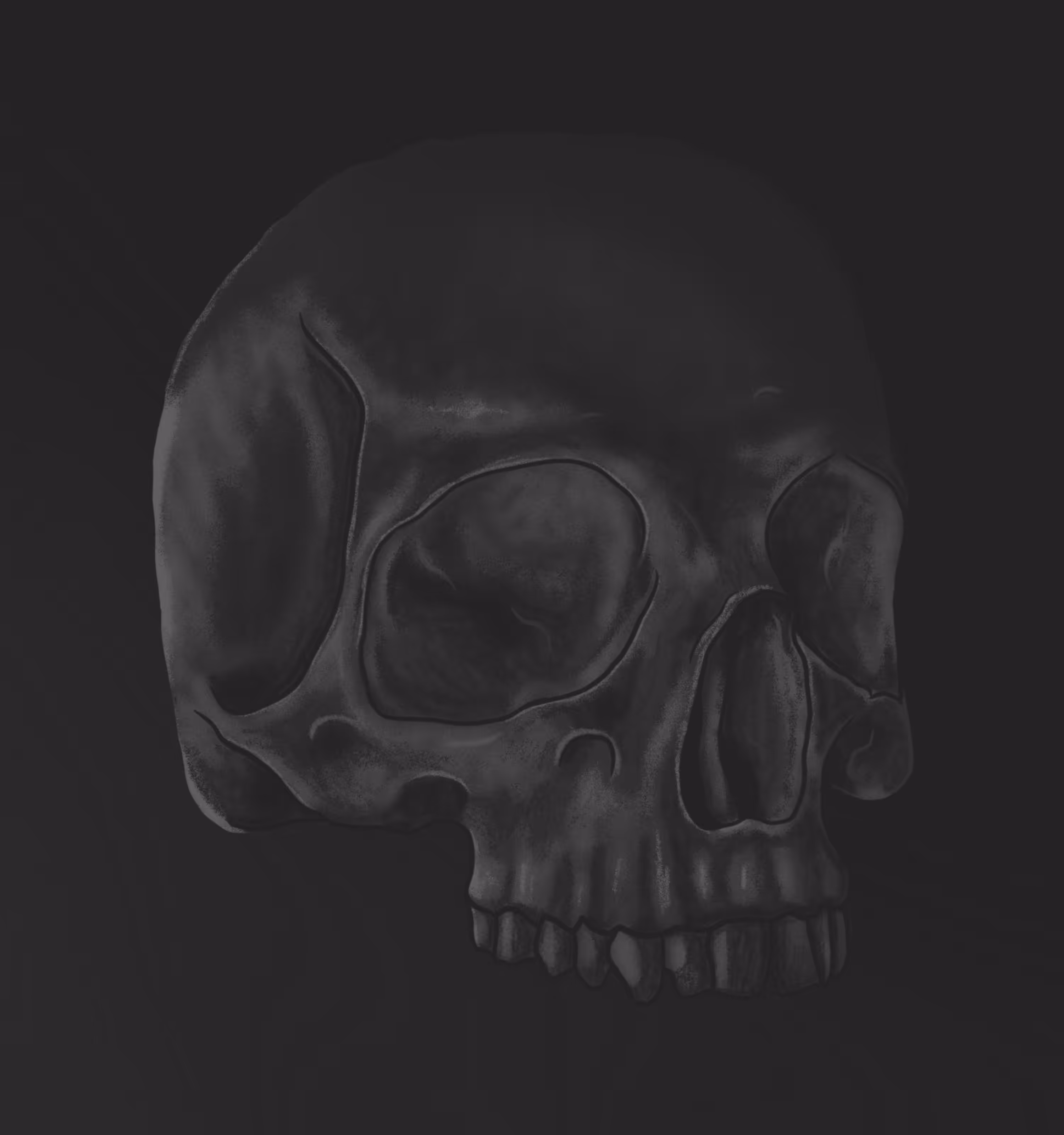 Human Skull
