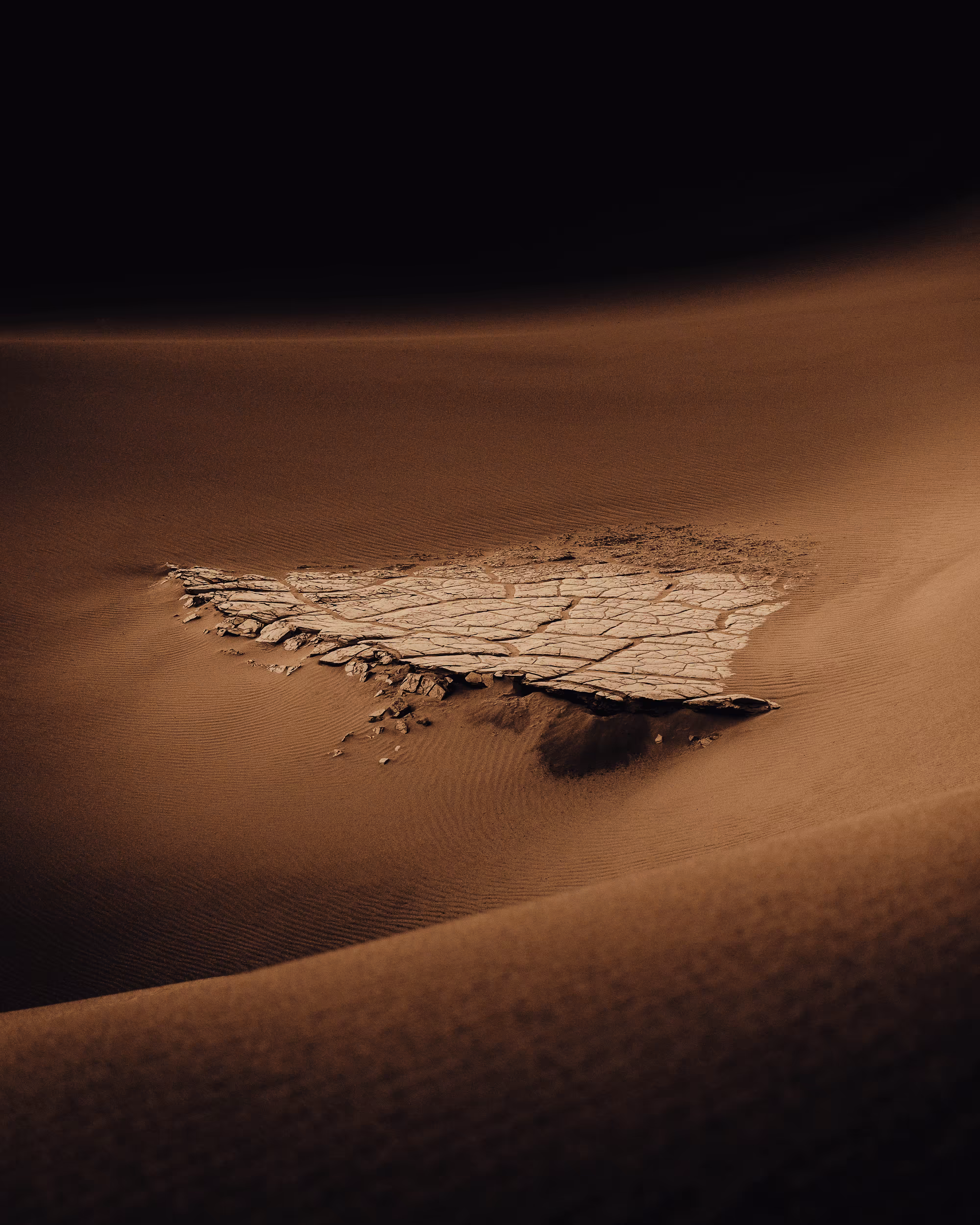 Dune: The Collection #5