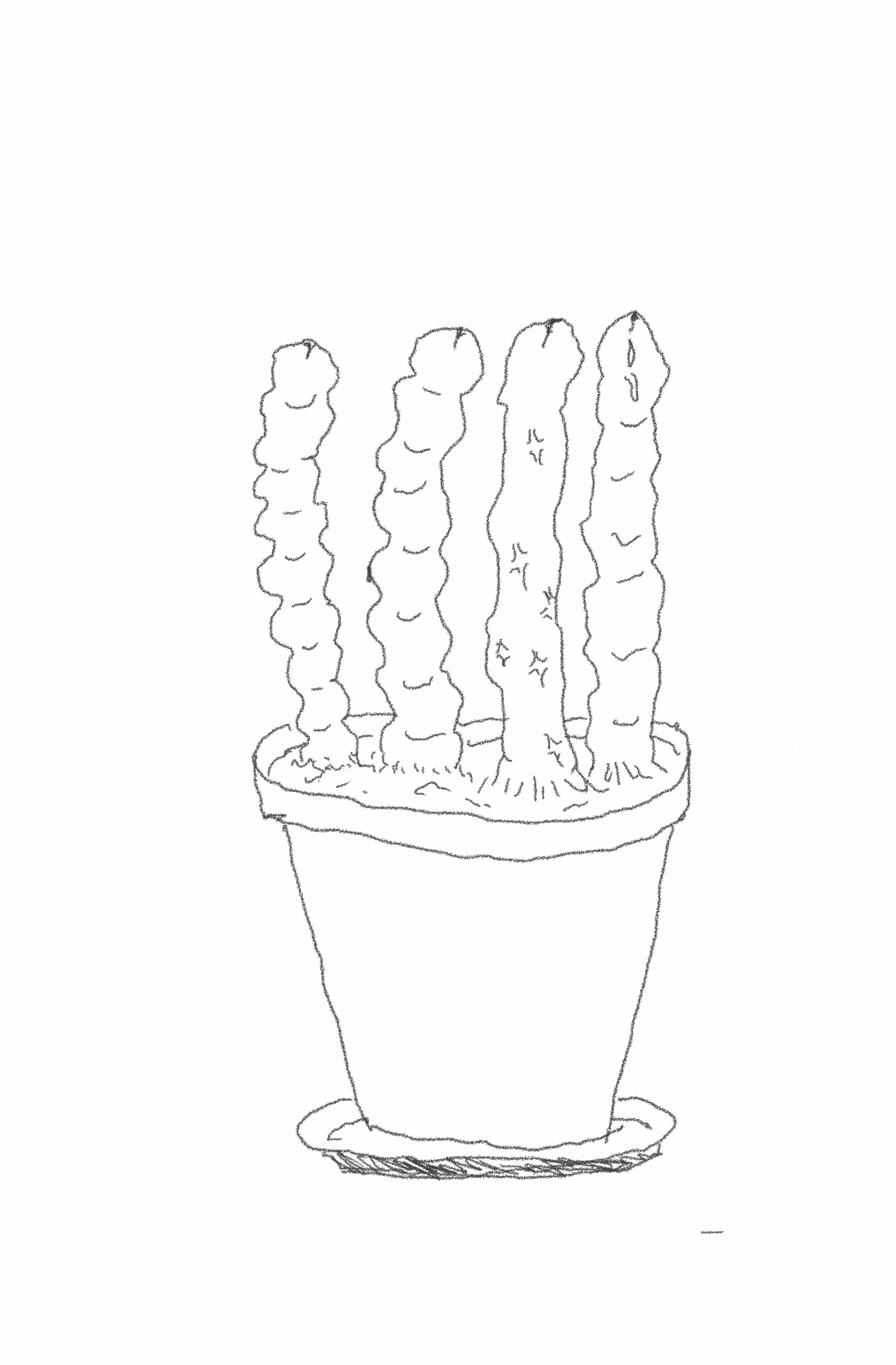 3 potted plants
