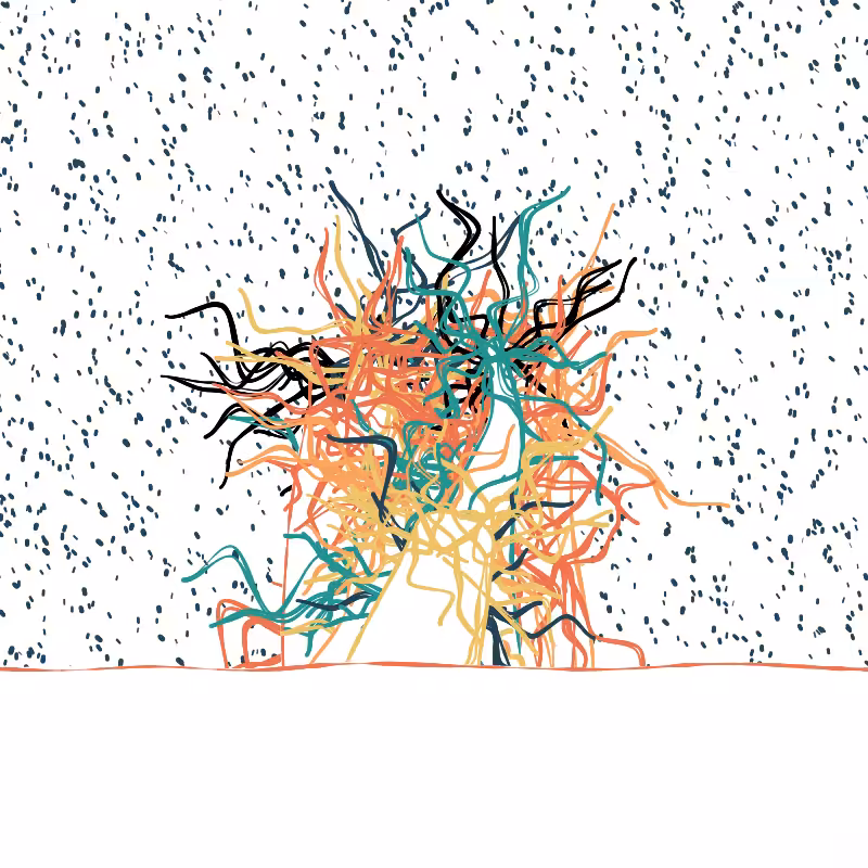 The Good Corals #105
