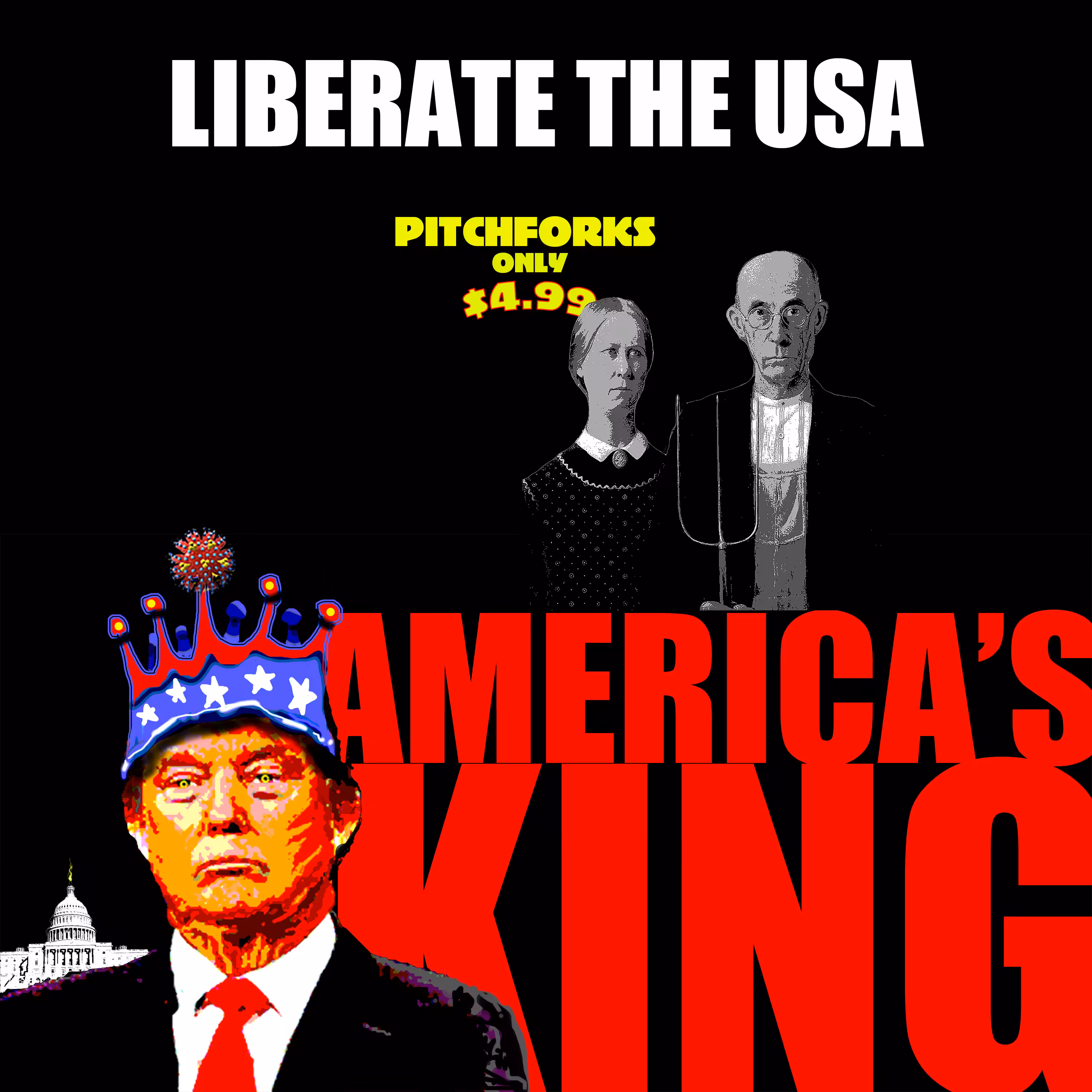 LIBERATE THE USA