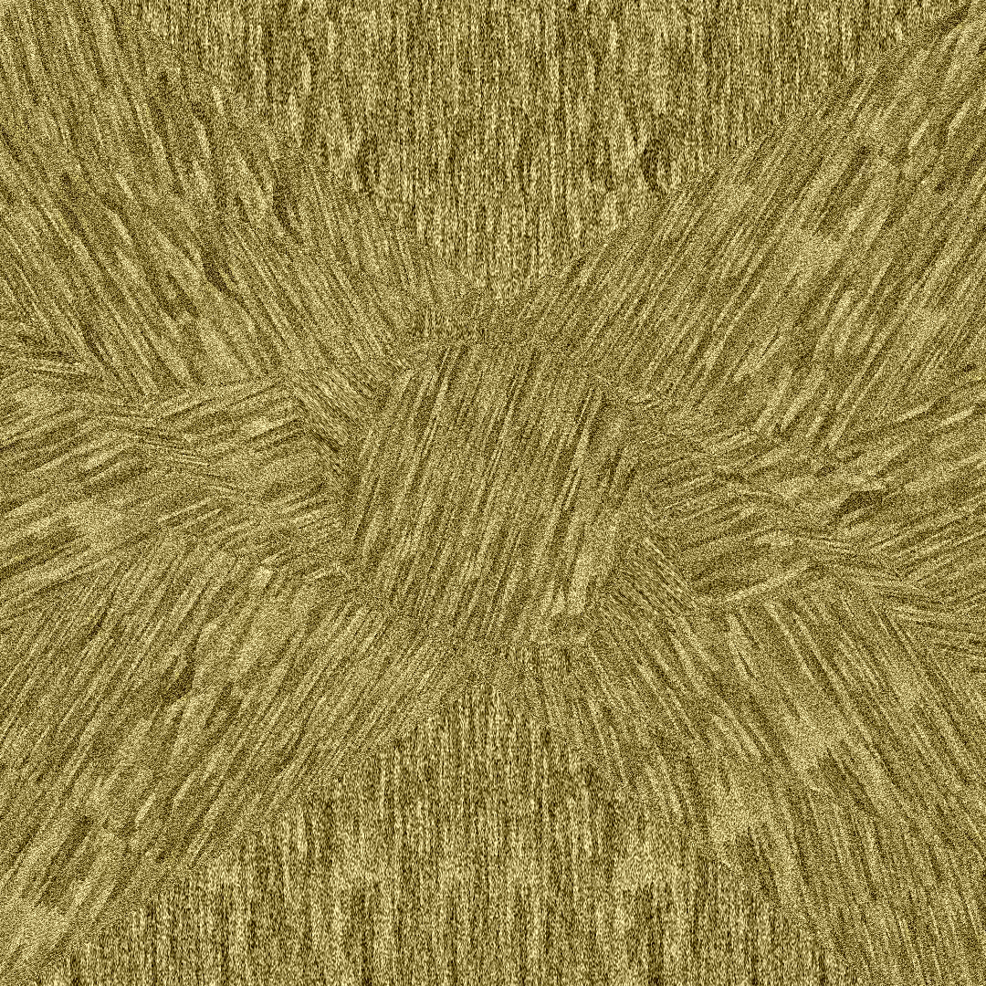 FleshStar #10