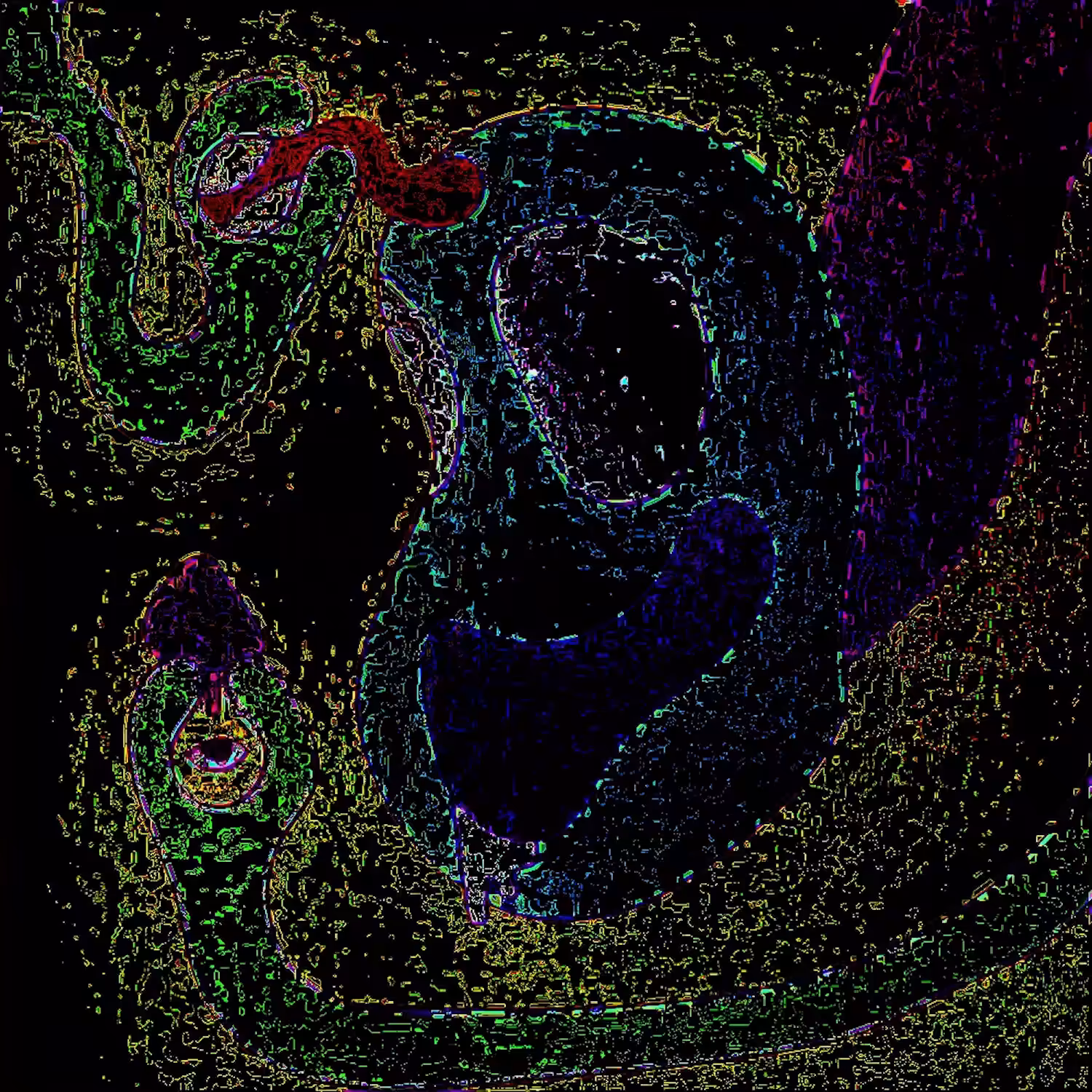 Sweet mushroom