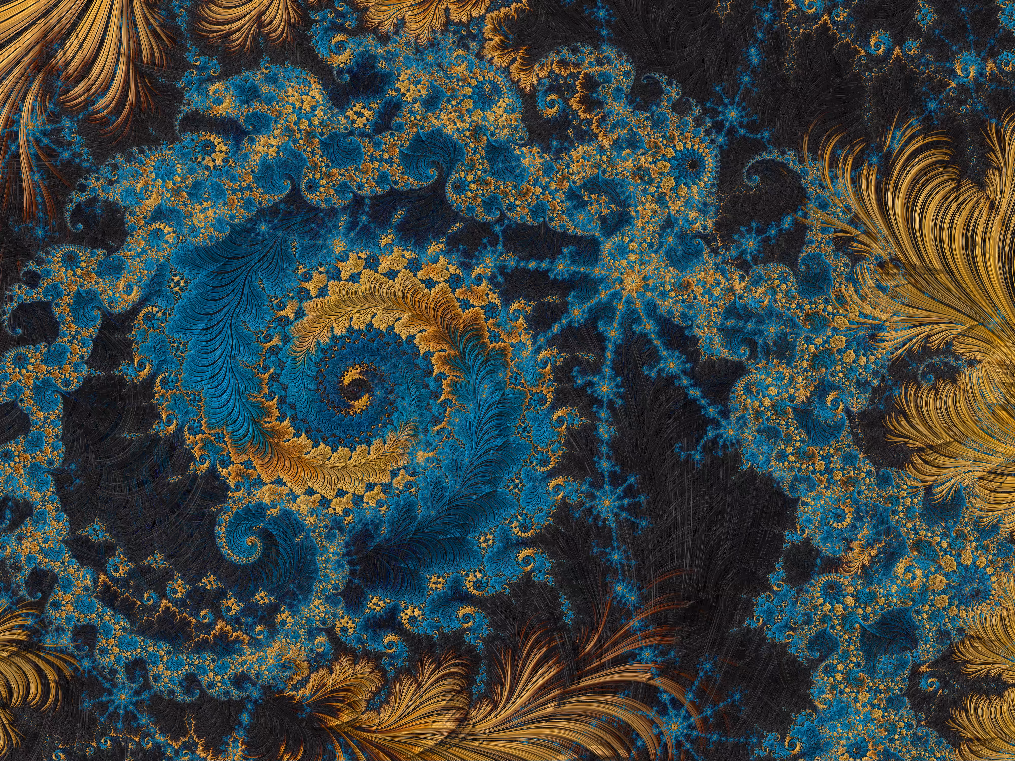 Feathers and Ferns