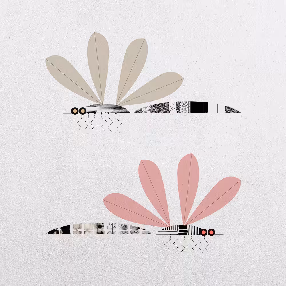 Mosquito Abstraction #19