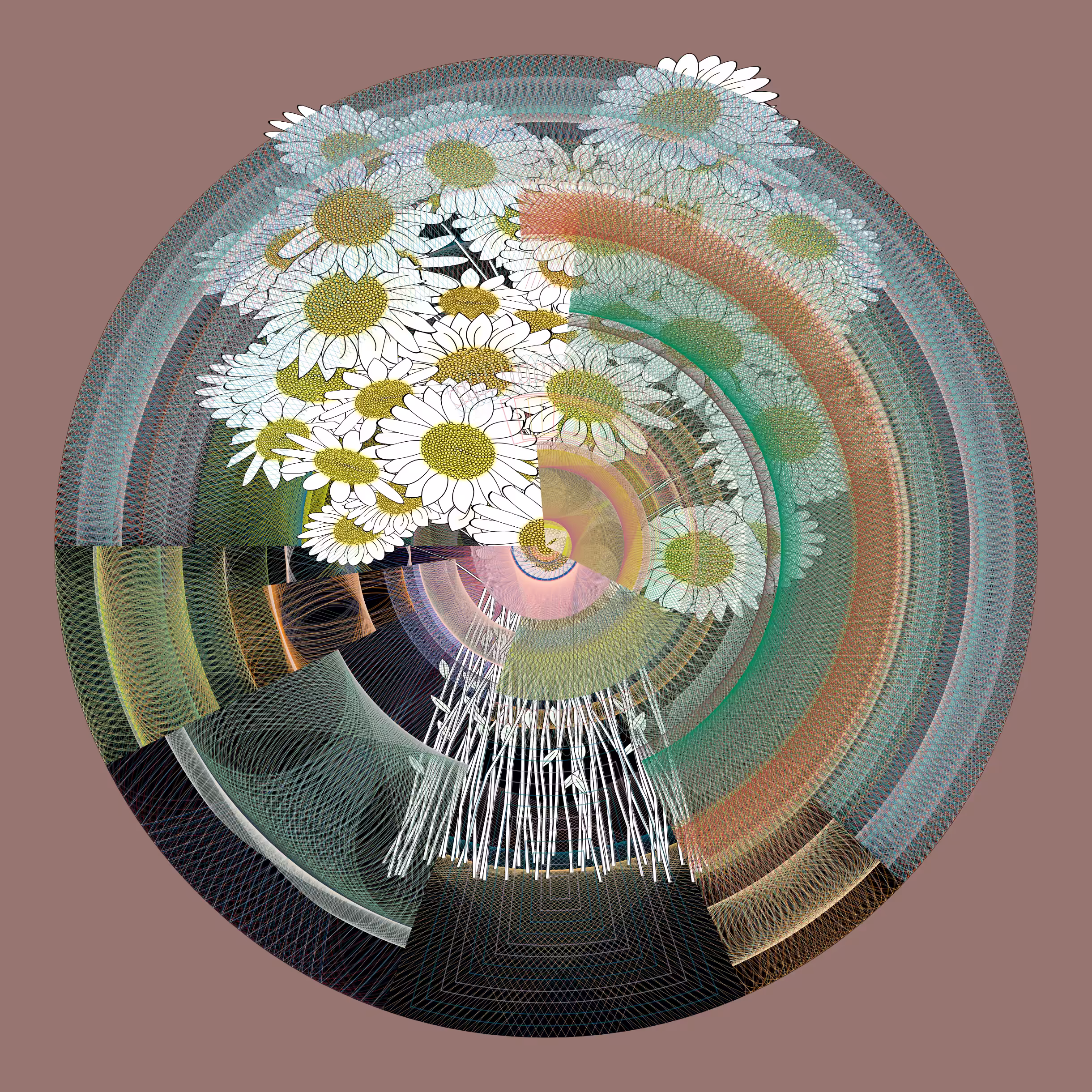Daisy Bunch #14