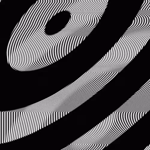 Rodeo posts: DISC