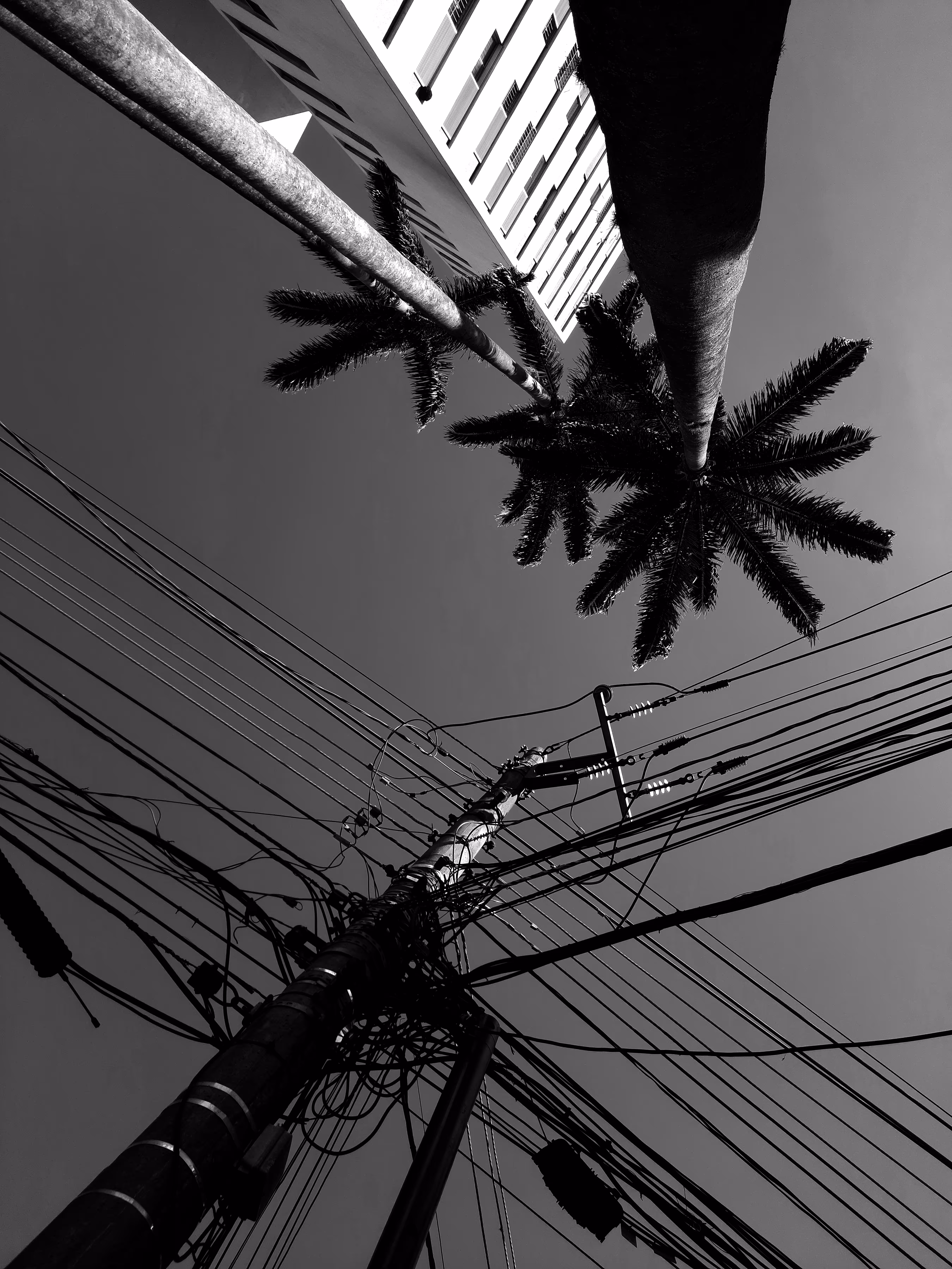 Babylon-SP#22
