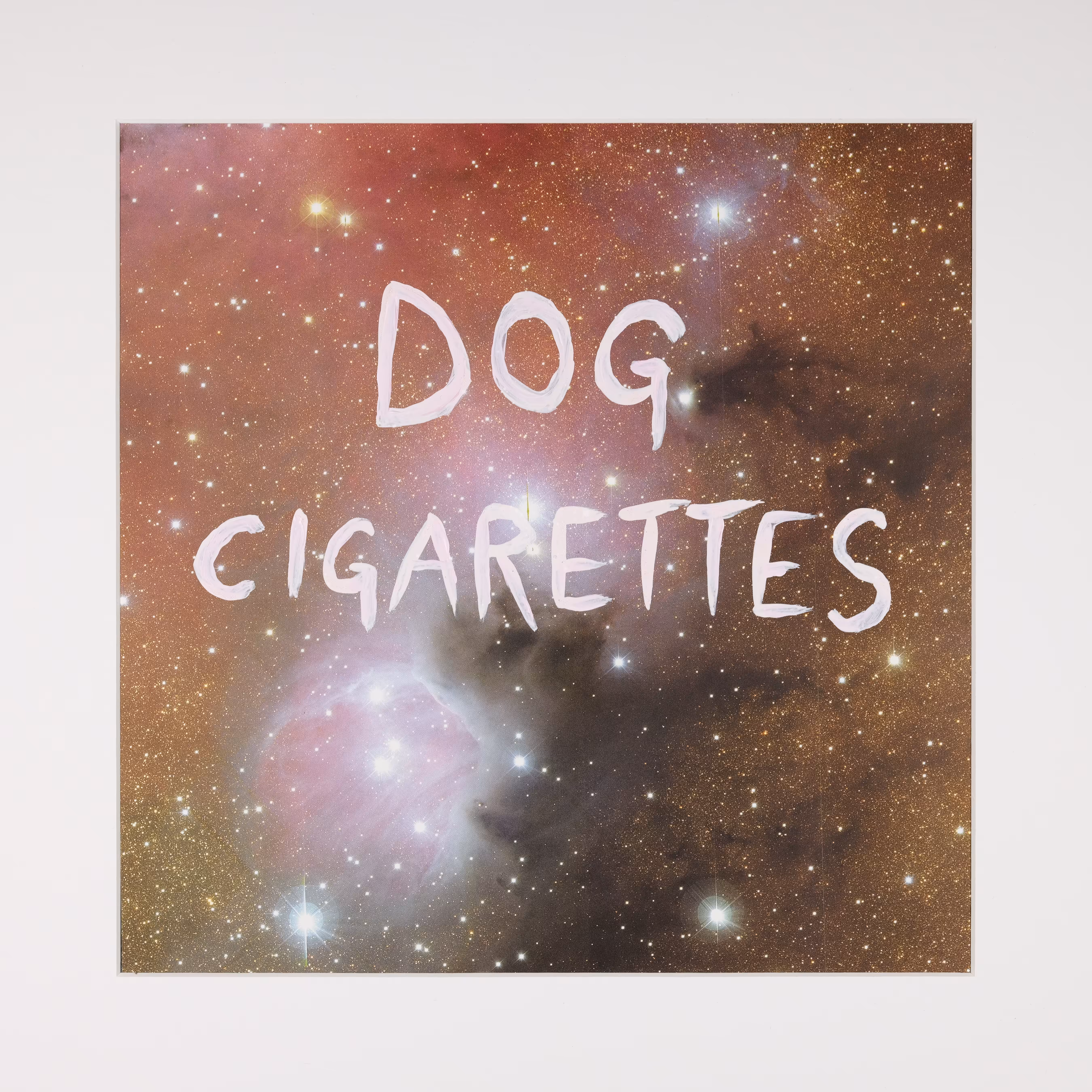 Infinity Today: Dog Cigarettes/ Consumer culture provides many products that no one asked for 