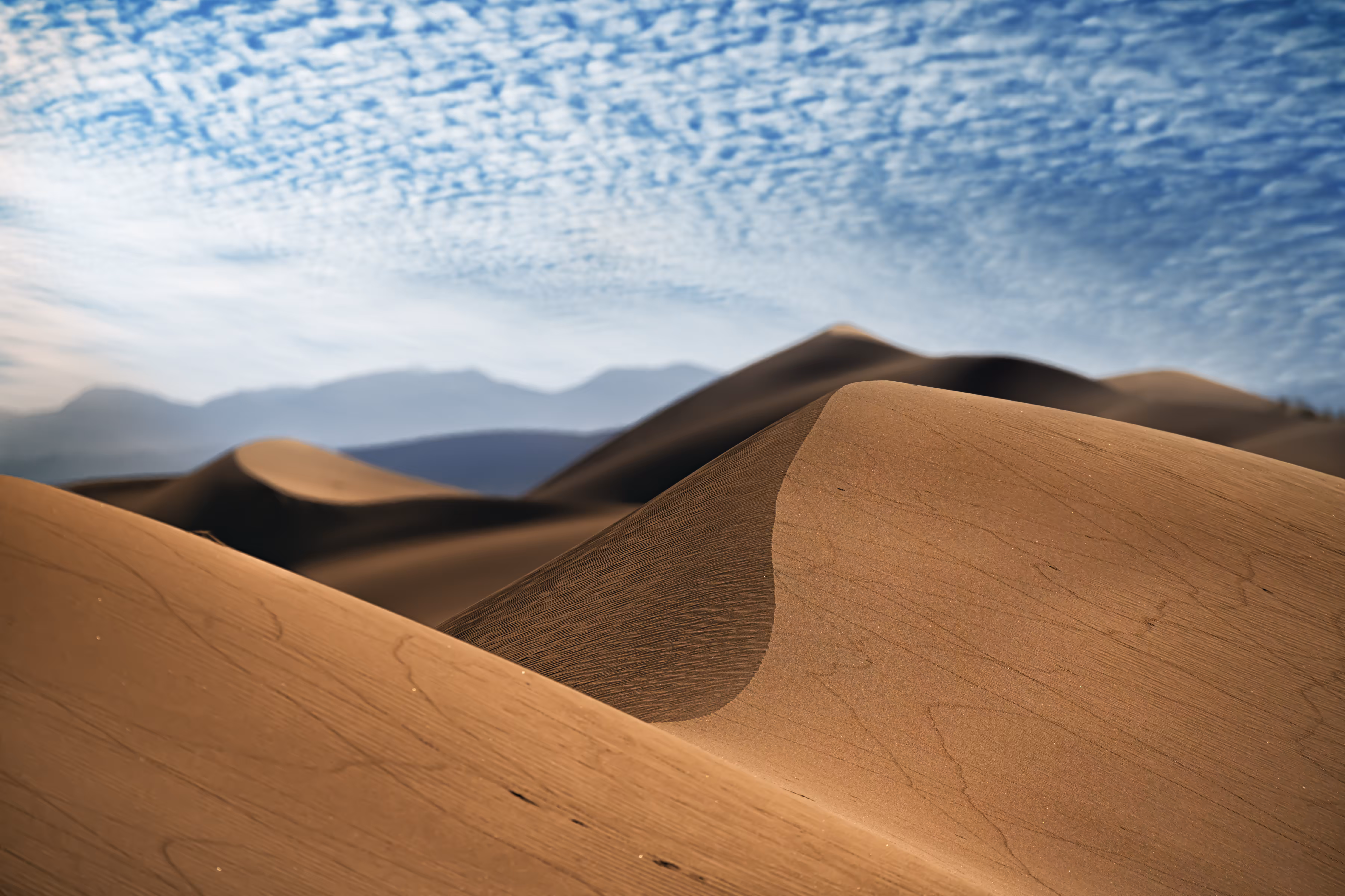 Lut desert