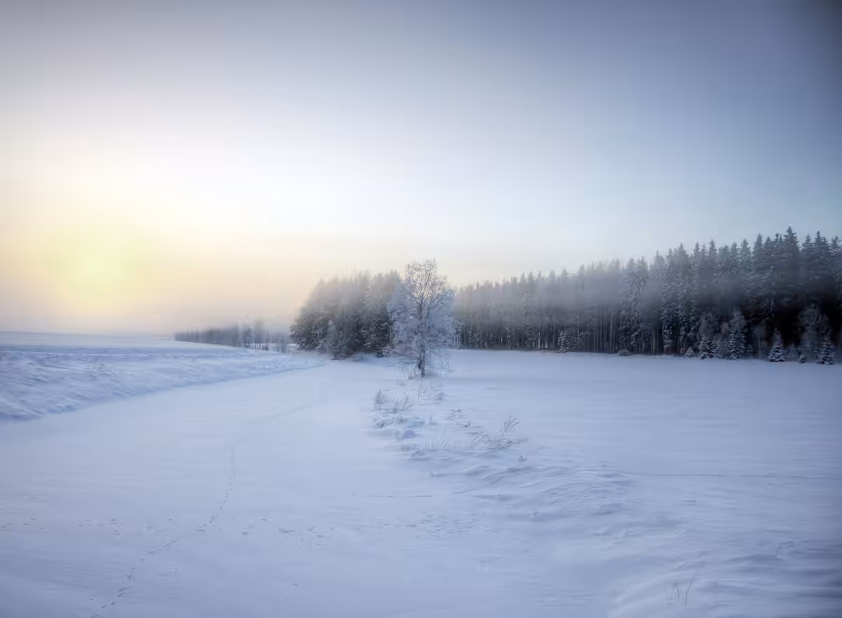 FOOTPRINTS IN THE SNOW.