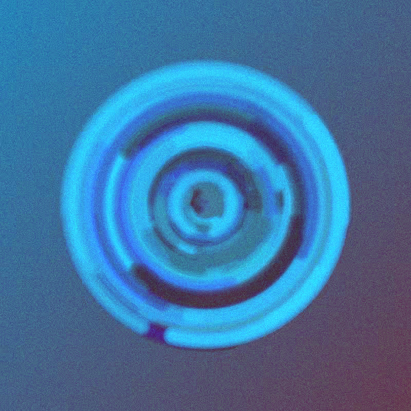 Wisp #583