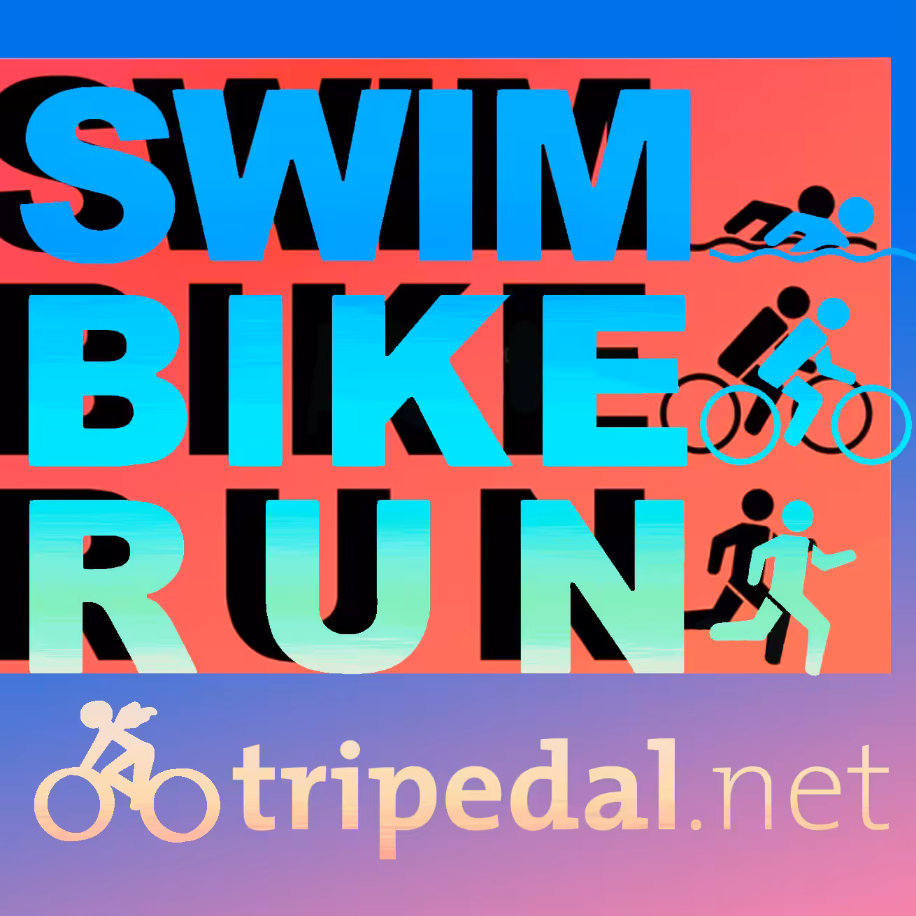 Swim, Bike, Run