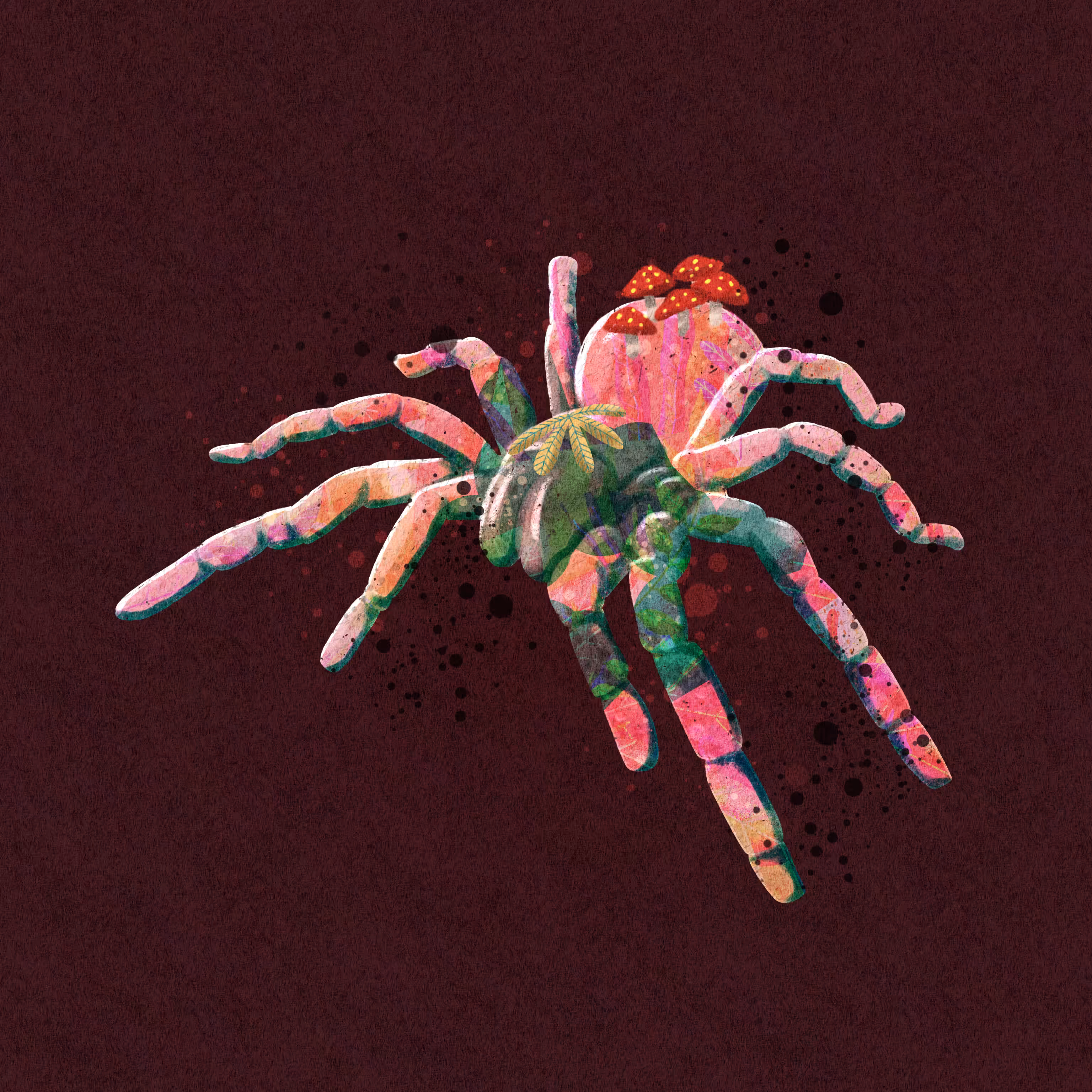 The Spider
