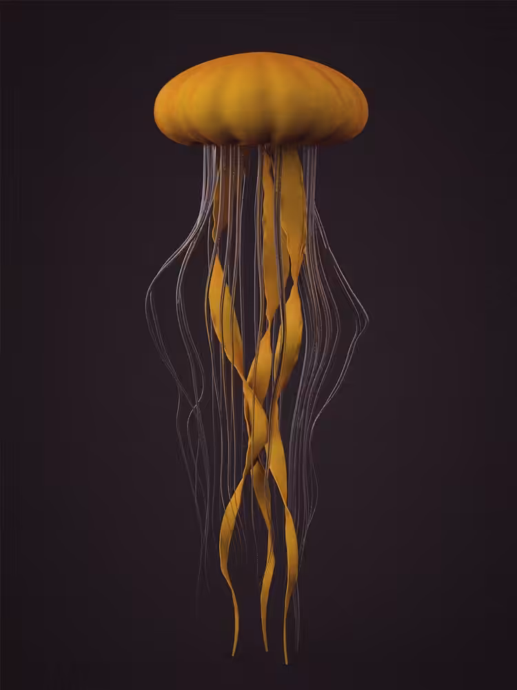 Jellyfish