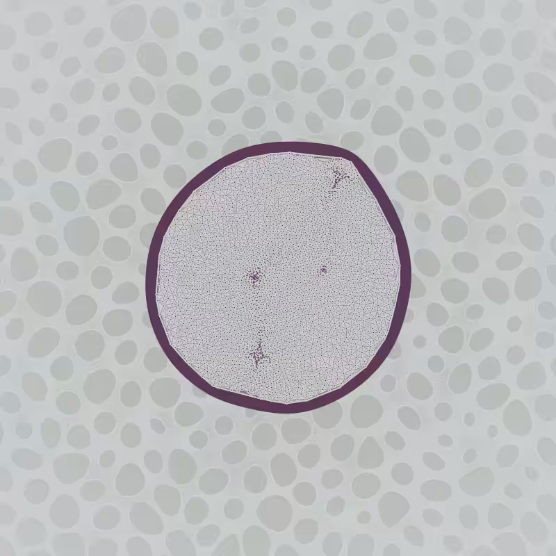 Protista #19