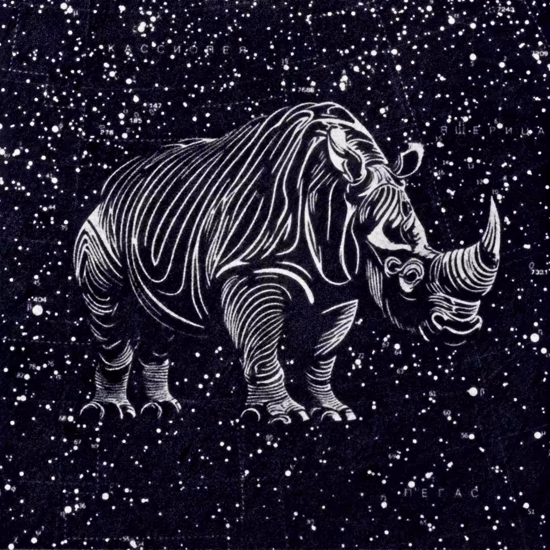 Rhinoceros