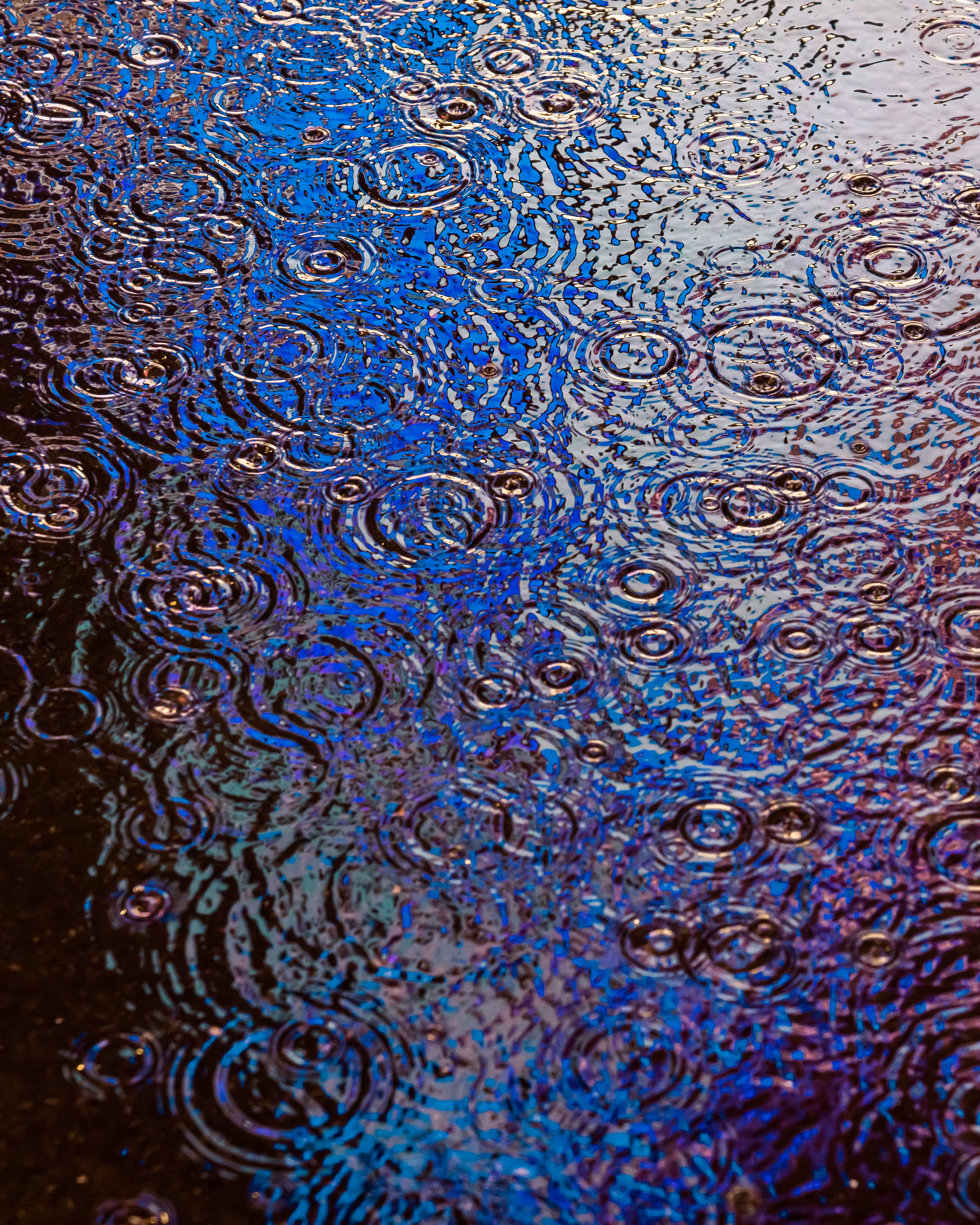 DRIP DROP: DRIP #649