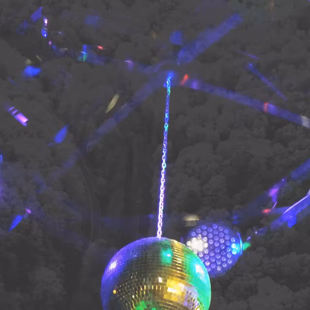 disco 