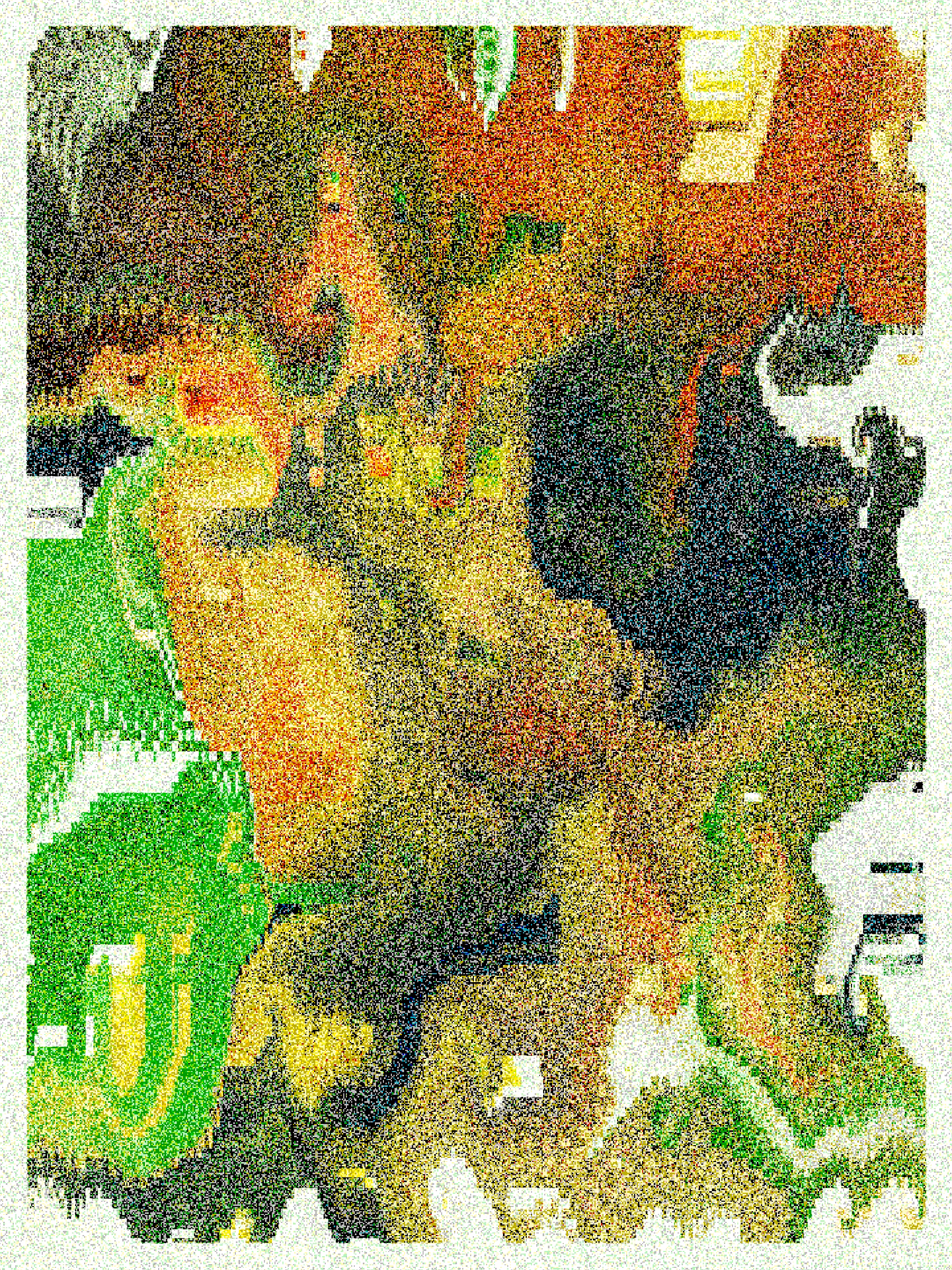 RASTER #40