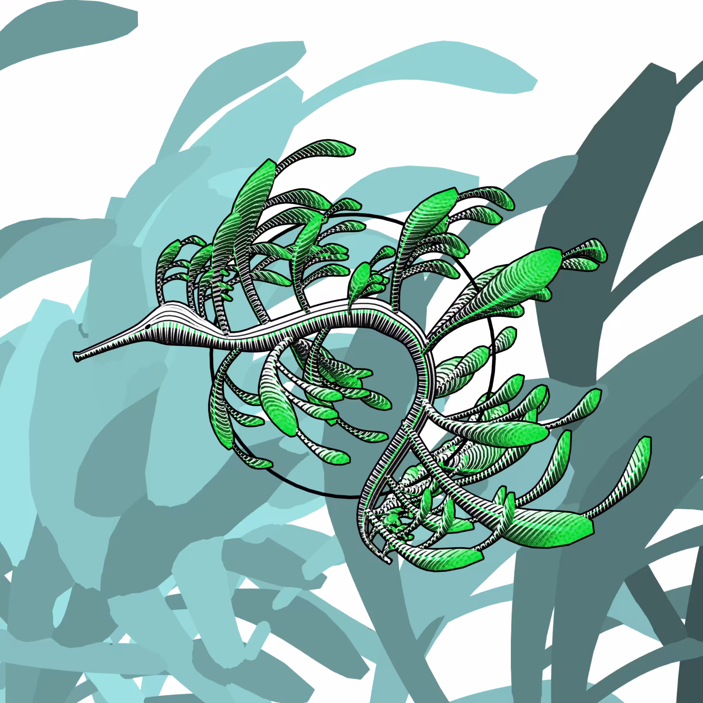 Seadragons #452