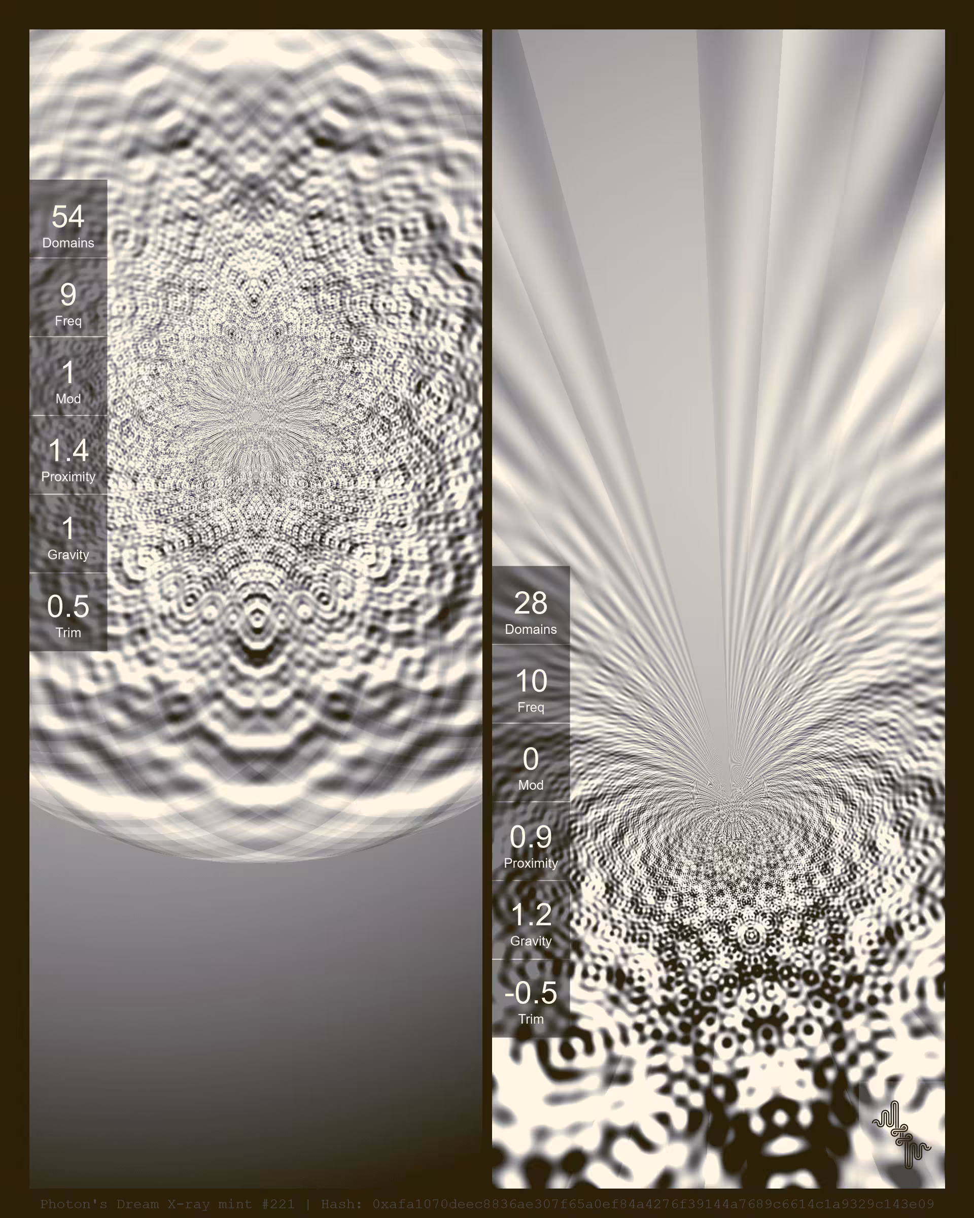Photon's Dream X-ray mint#221