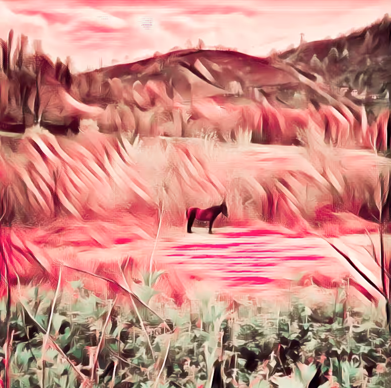 Horse