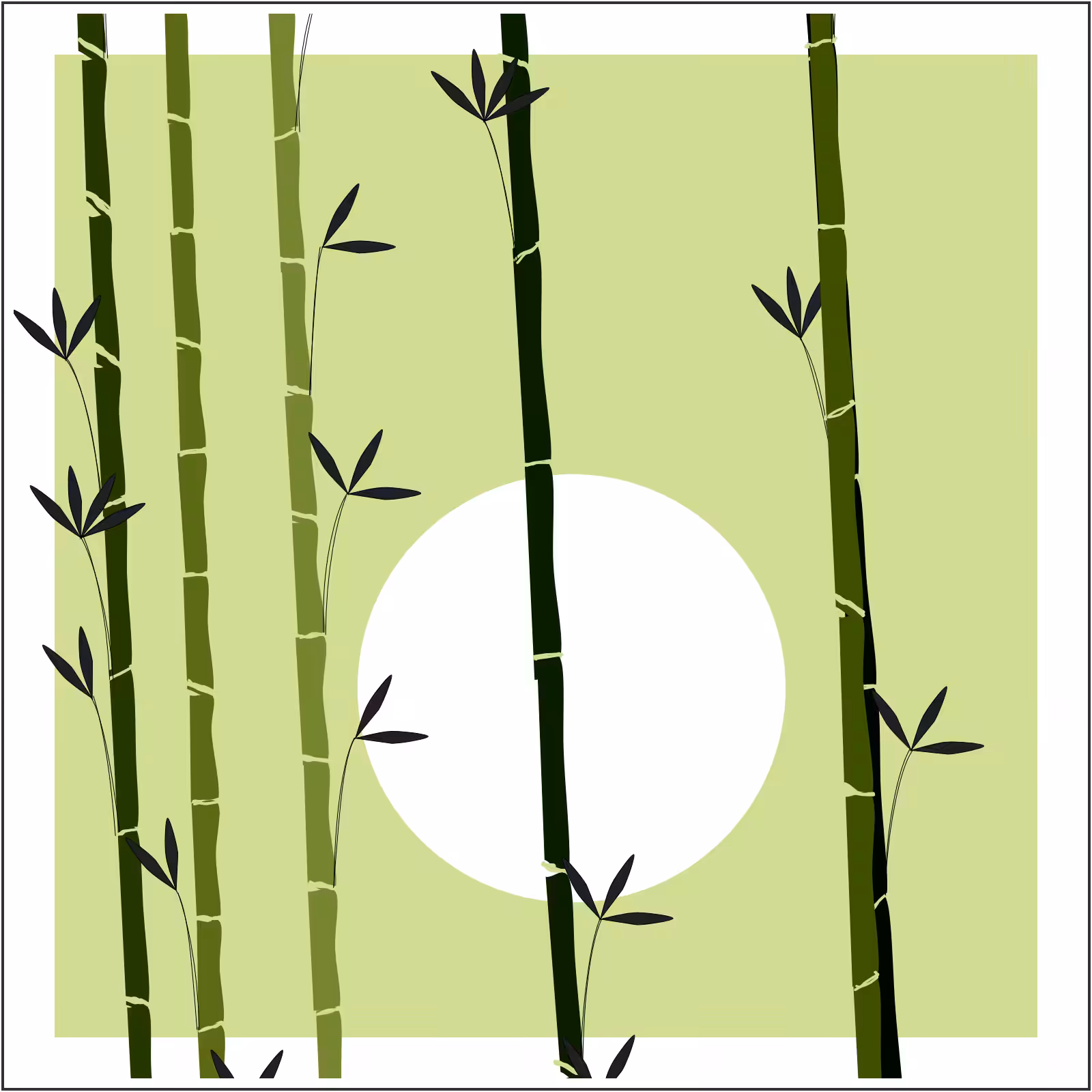 Bamboo and Beyond #33
