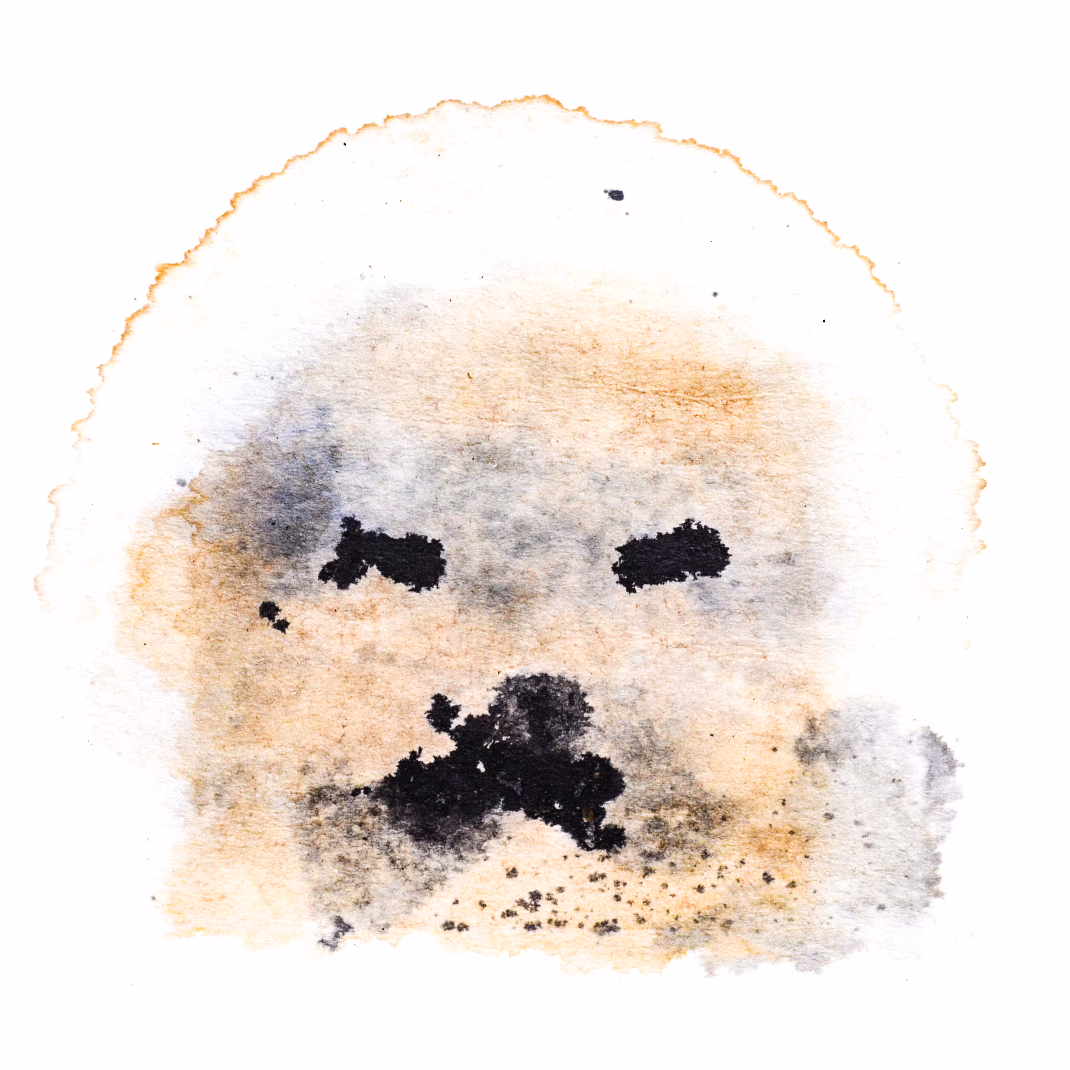 CryptoStain052