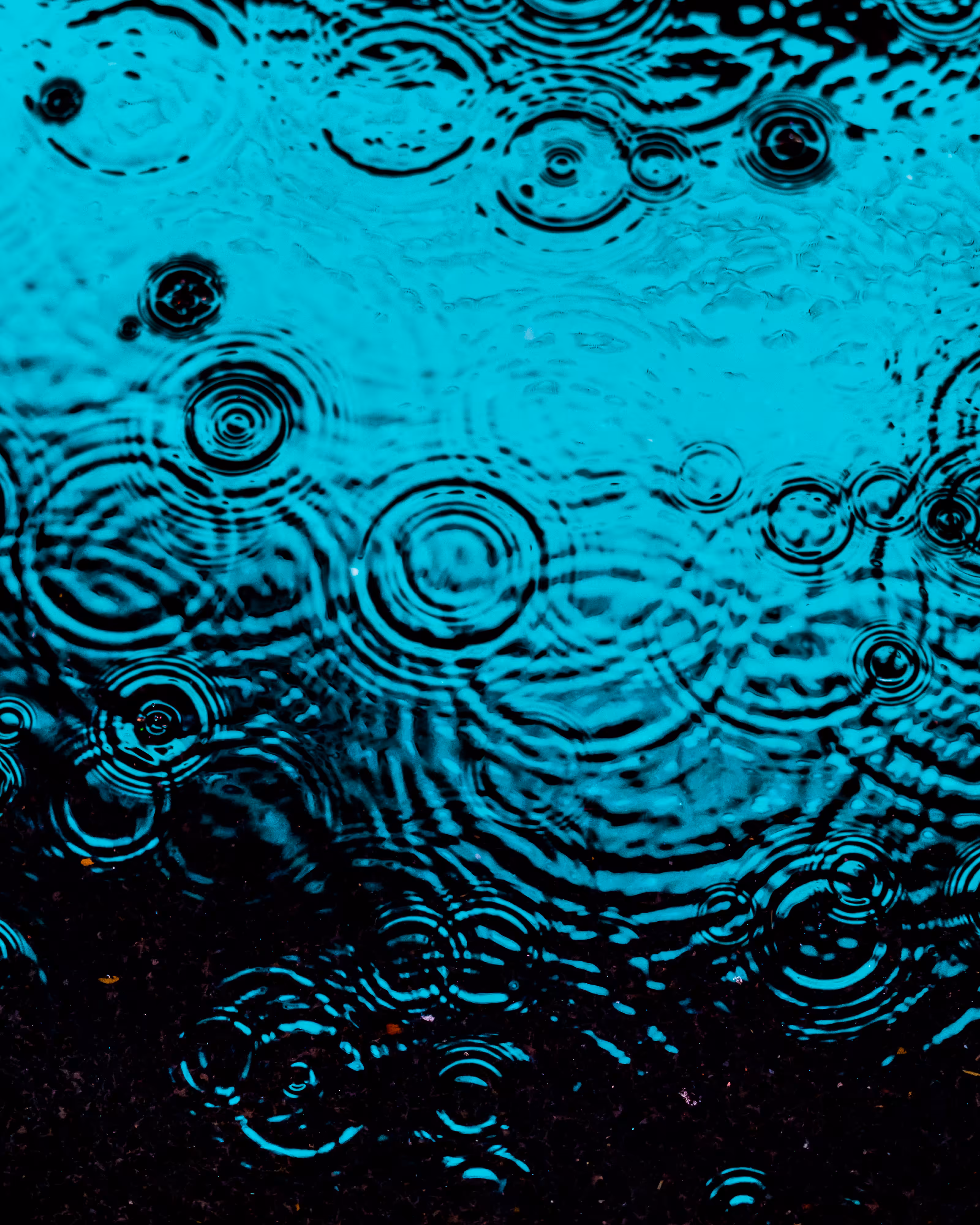 DRIP #170