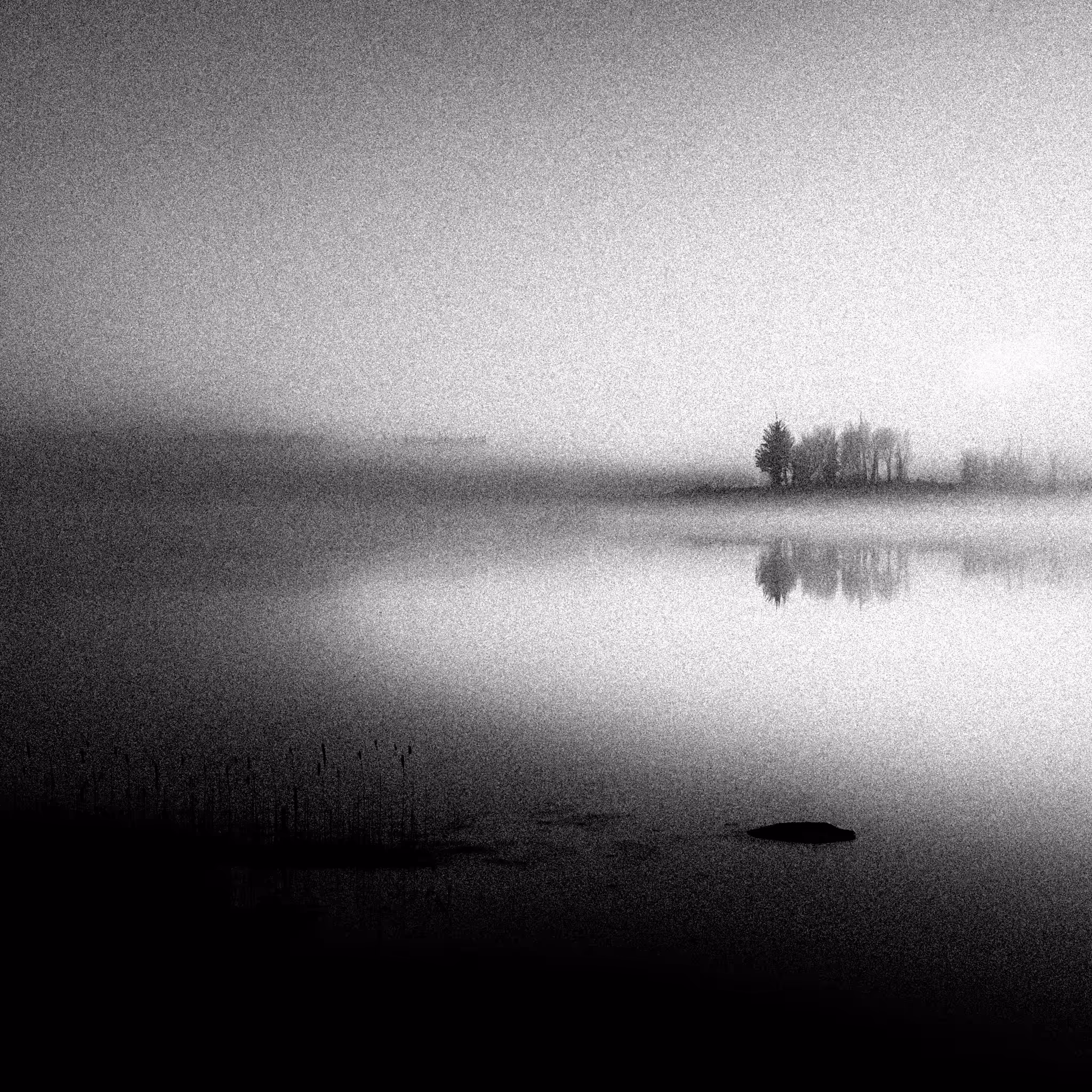 The Lake