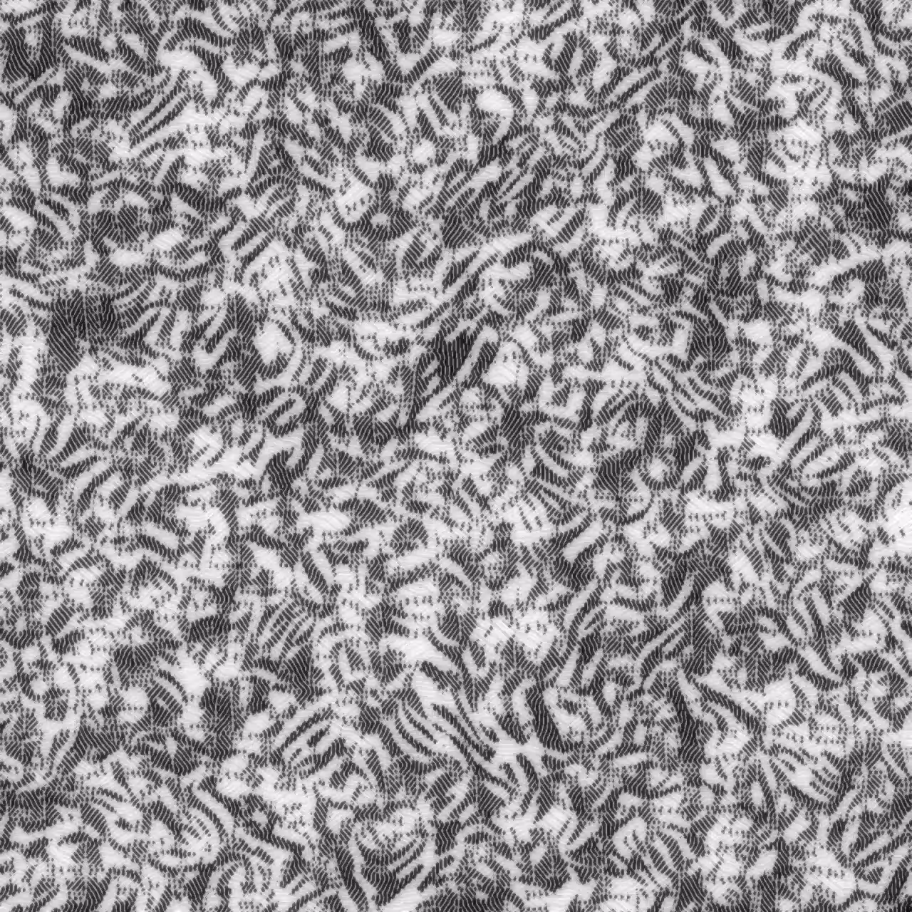 Chaos Flow I