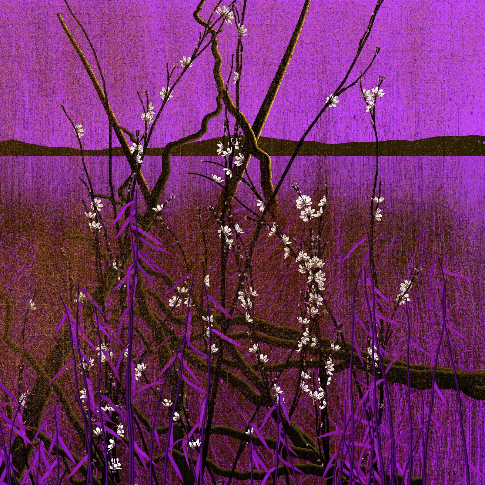 Dry twigs #26