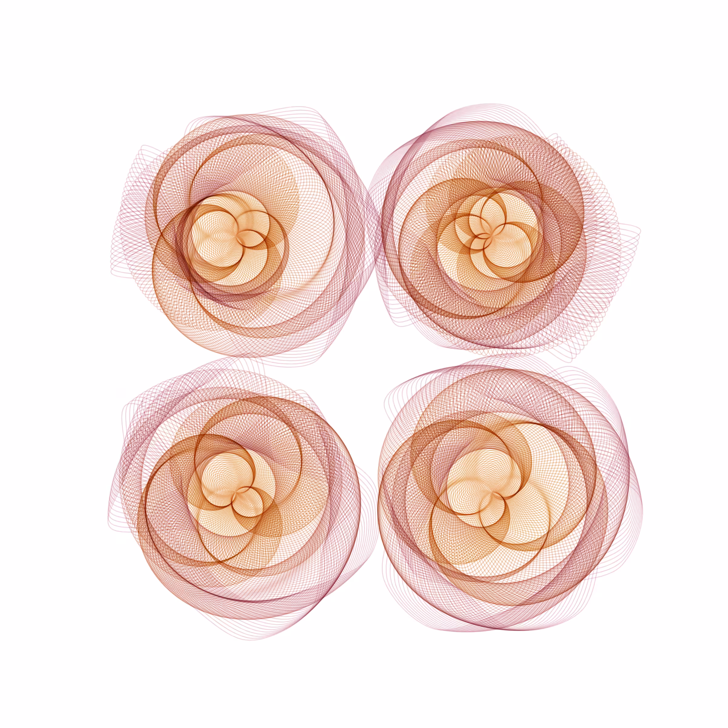 Flowers #5737