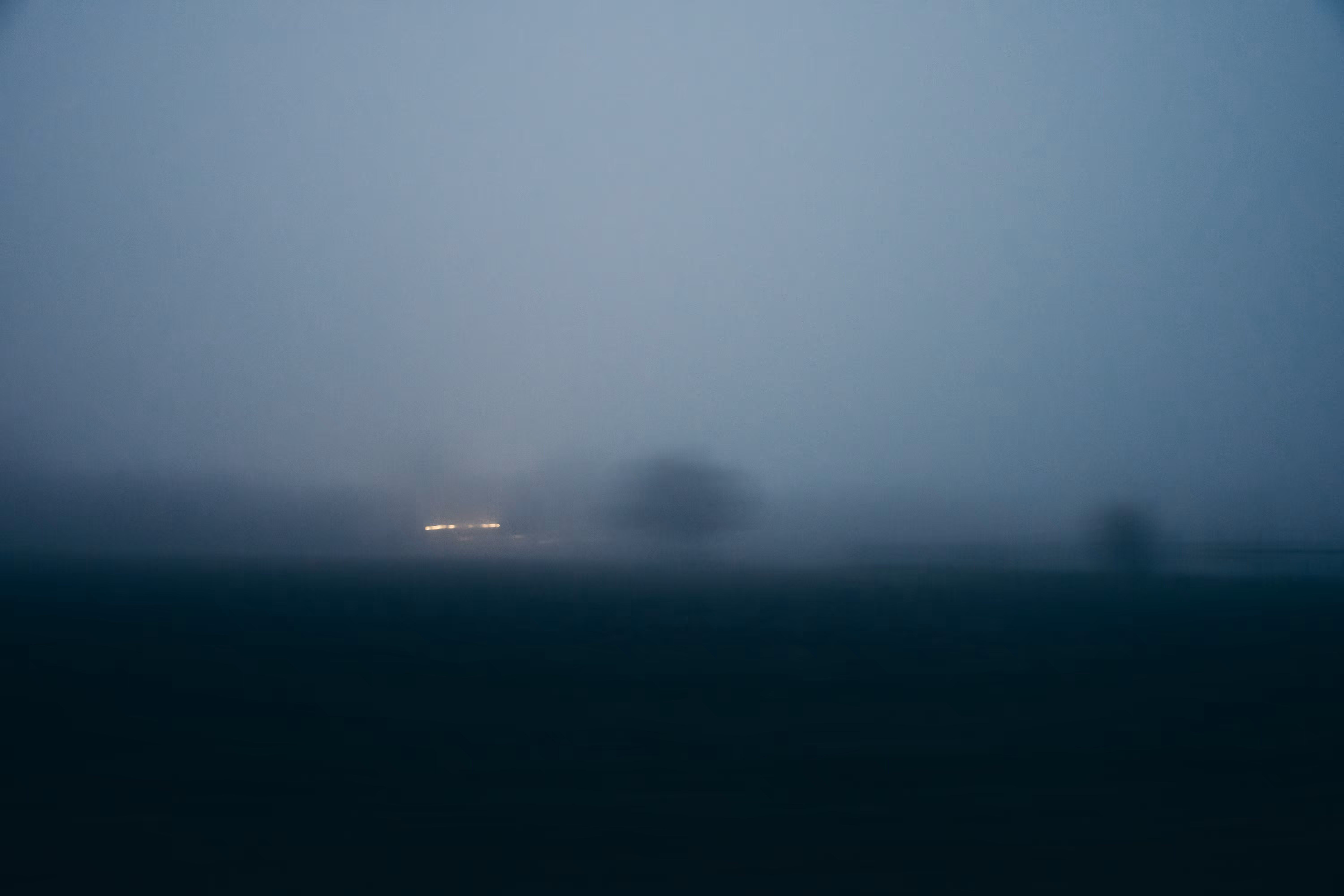 Misty movement of light and trees #1