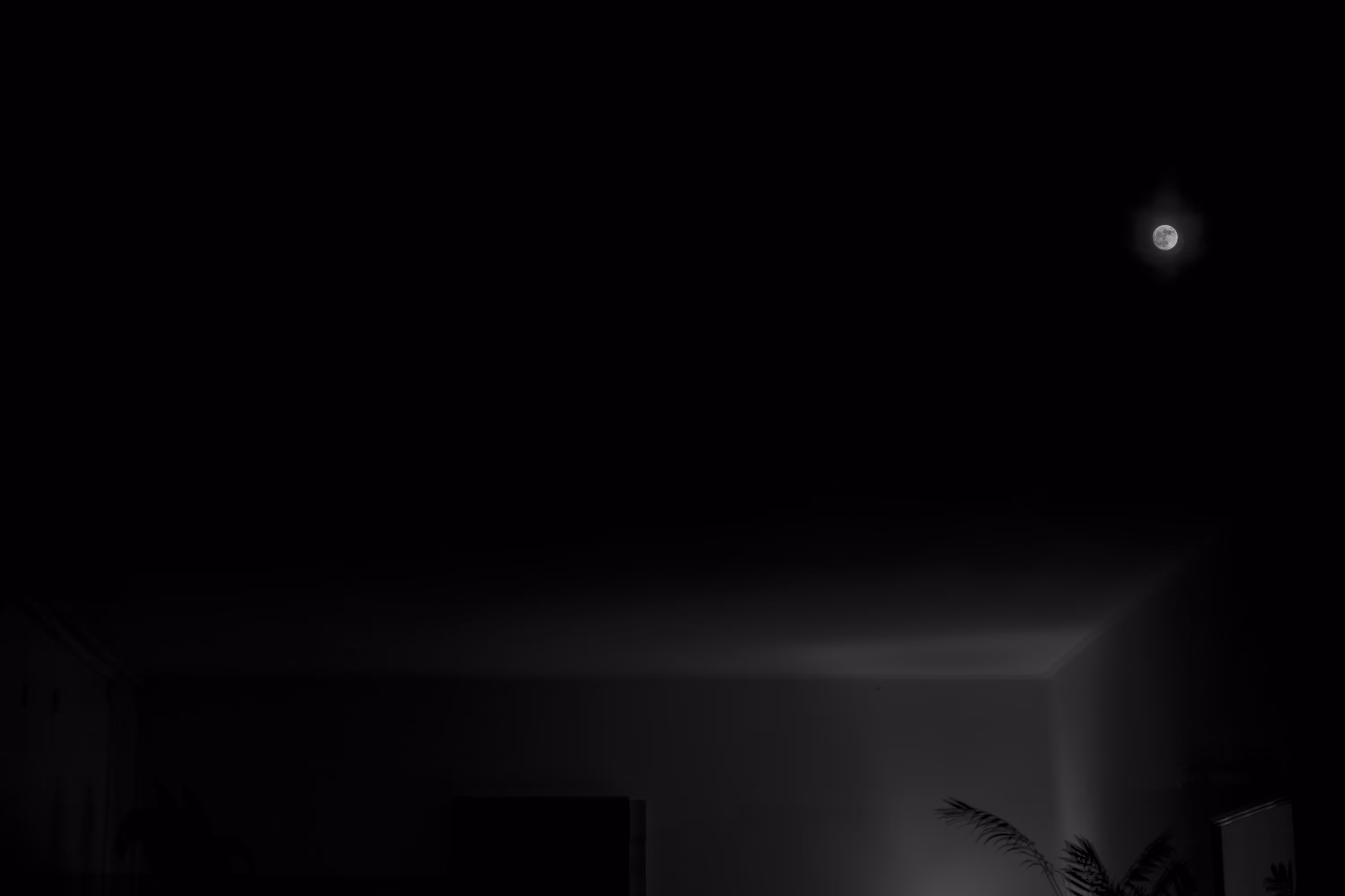 midnight in a perfect world #05