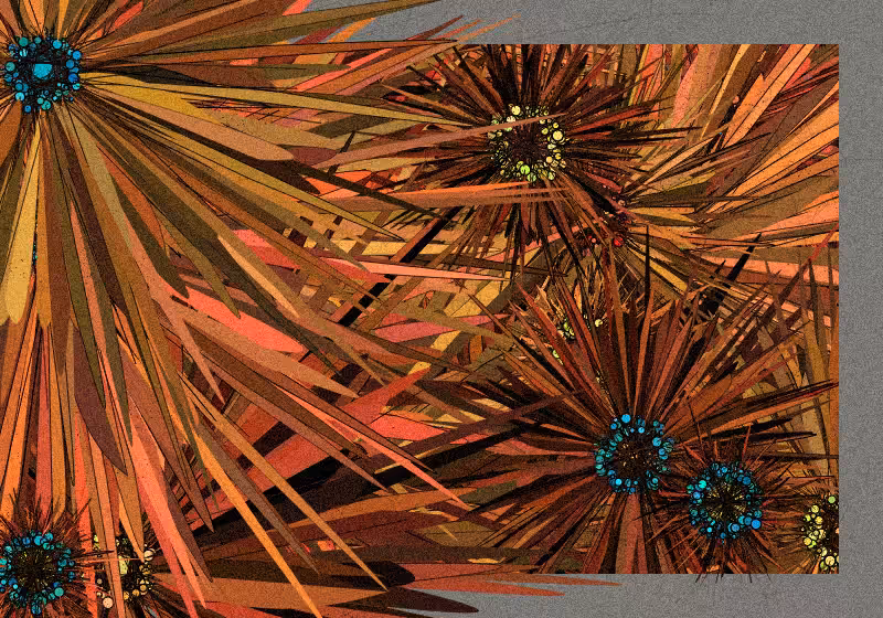 Love & Wild #40