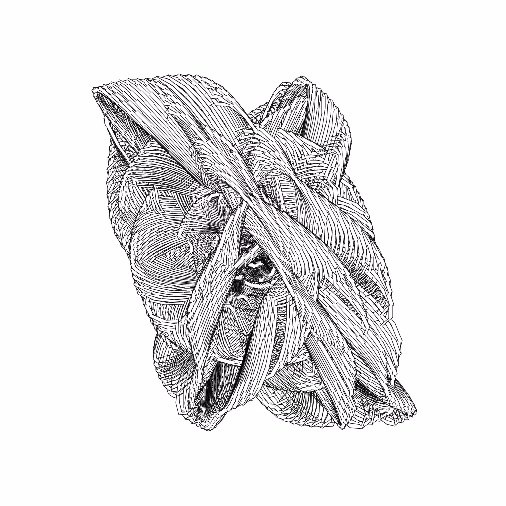 LL21 Entangled (3) #486