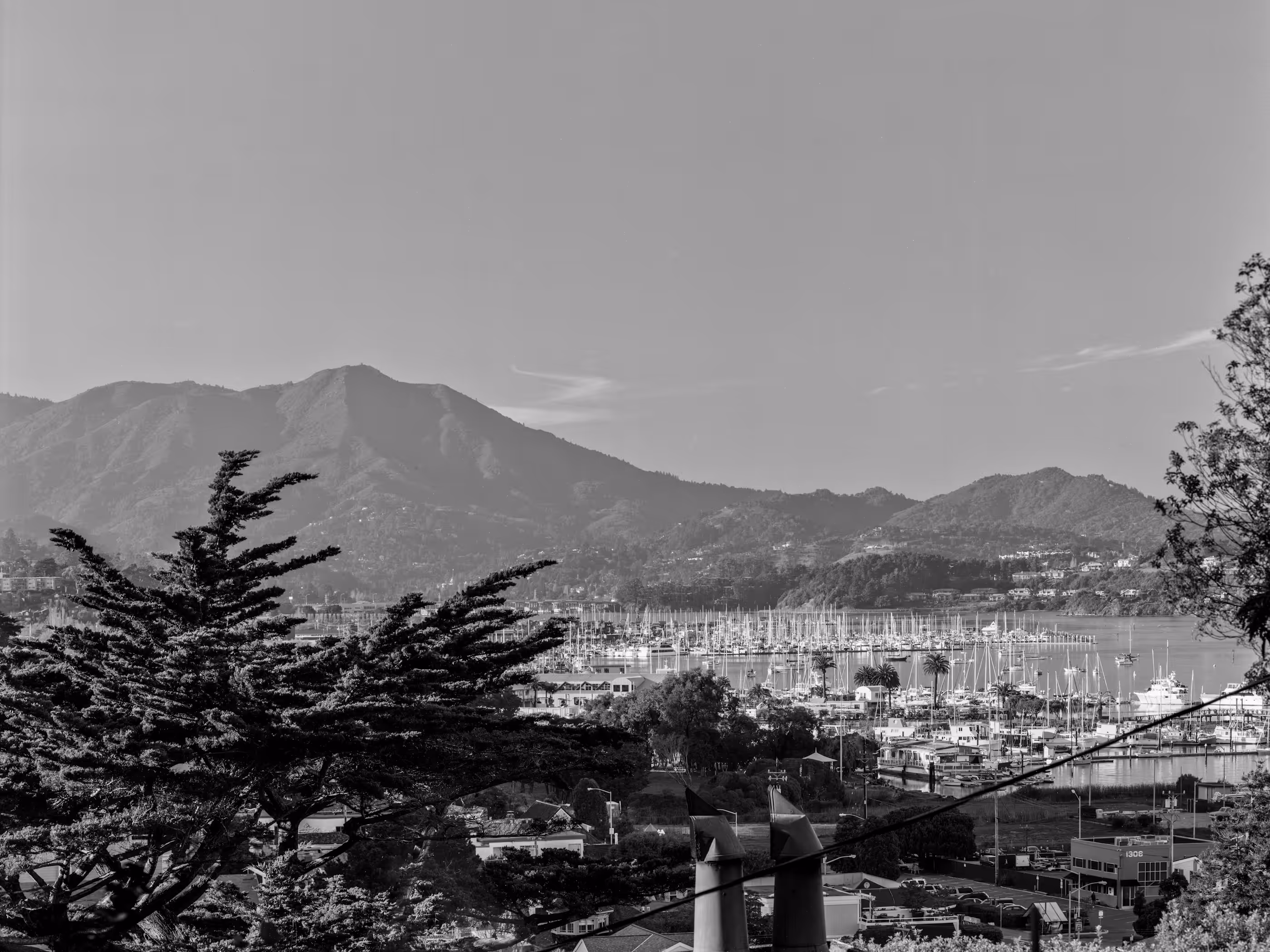 Mt Tamalpais from Belvedere