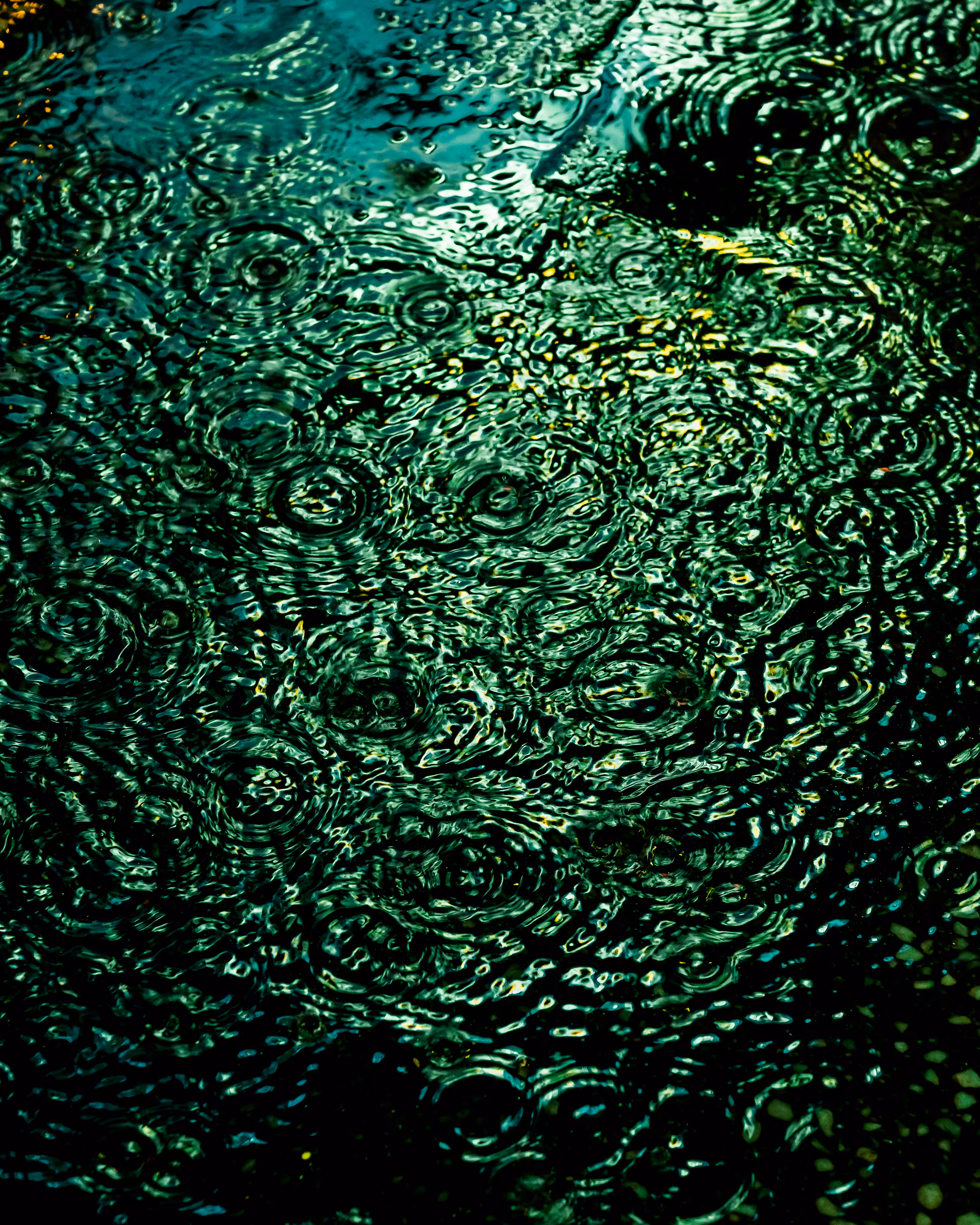 DRIP DROP: DRIP #233